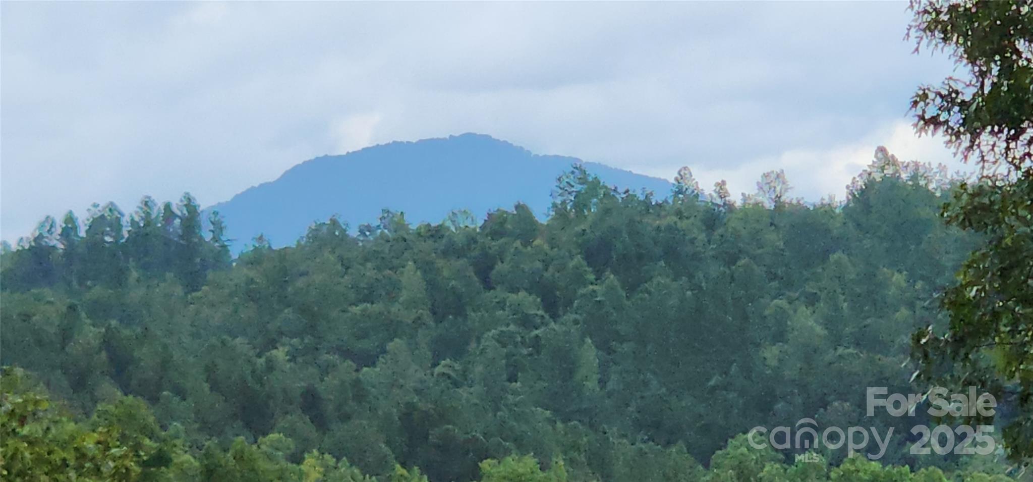 Mountain Laurel Estates - Land