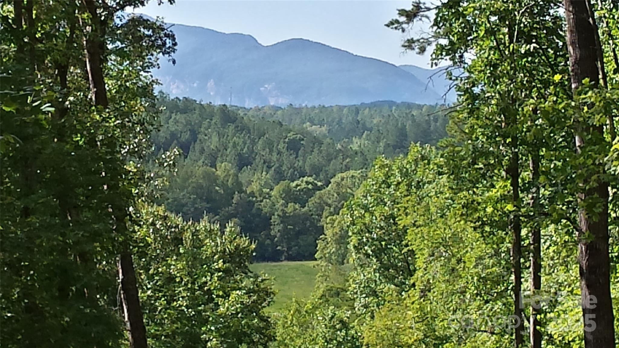 Mountain Laurel Estates - Land
