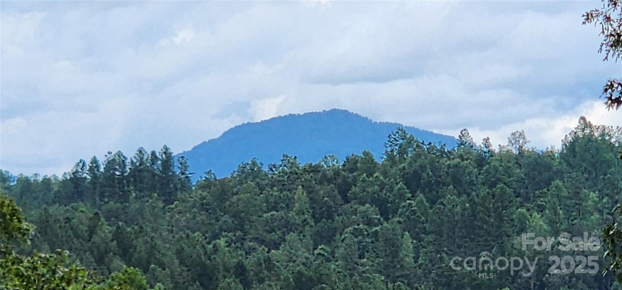 LOT 3 S Cross Creek Trail