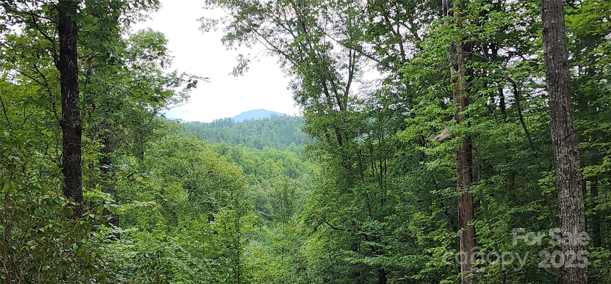 LOT 3 S Cross Creek Trail