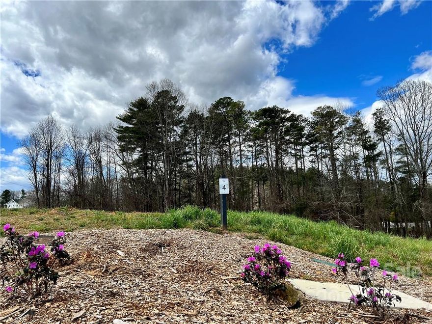 Just 6.9 miles to downtown Asheville, the Olivette agrihood is a 411-acre planned community featuring a riverfront park along the French Broad River. The heart of Olivette is a fully operational 4-season organic farm offering a CSA, farm stand, tailgate markets & other farm-centric activities. Connections to food, nature, community & the arts are essential concepts of our design. Residents enjoy access to miles of hiking trails, community gardens, orchards, a large private river island with pavilion & fireplace, fire circle amphitheater, suspended bridge to a private island, walking labyrinth, & dog park. 
Community infrastructure includes fiberoptic cable, underground utilities, city water & sewer, and state-maintained roads. Buyers to reimburse $5k at closing for pre-drilled geothermal well on this homesite.