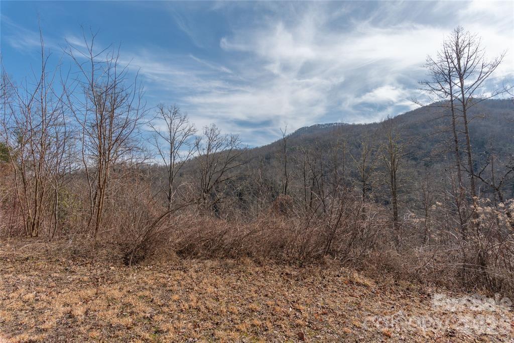 2220 Tract 2 Tilley Creek Road