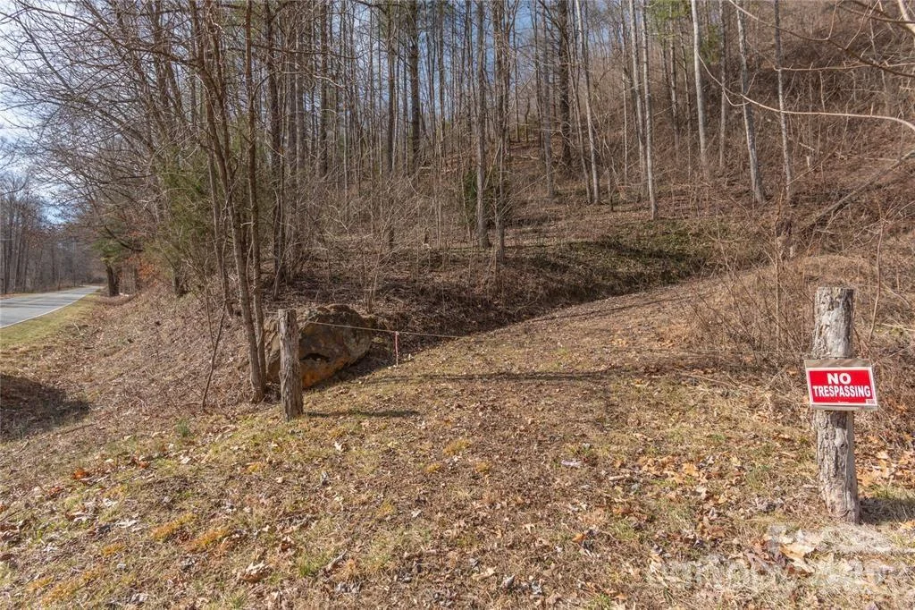 2220 Tract 2 Tilley Creek Road, Cullowhee, NC, 28723