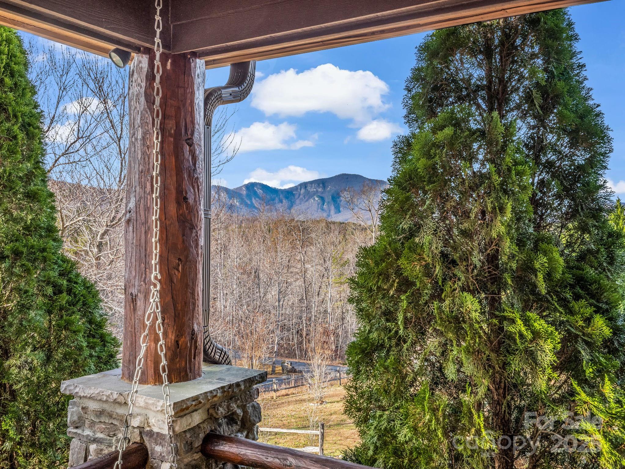 The Peaks at Lake Lure - Residential
