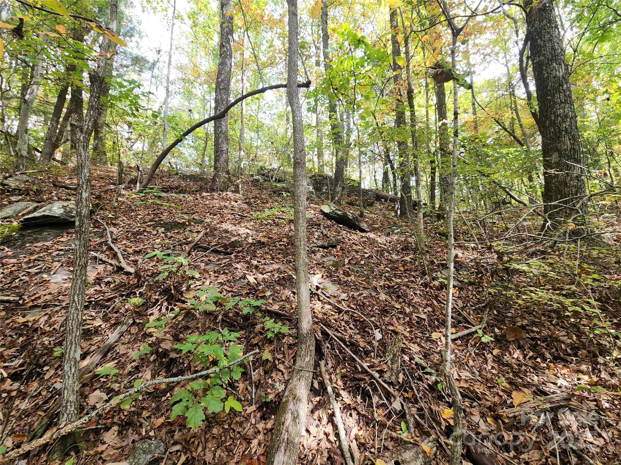 99999 N Pointe Drive 3