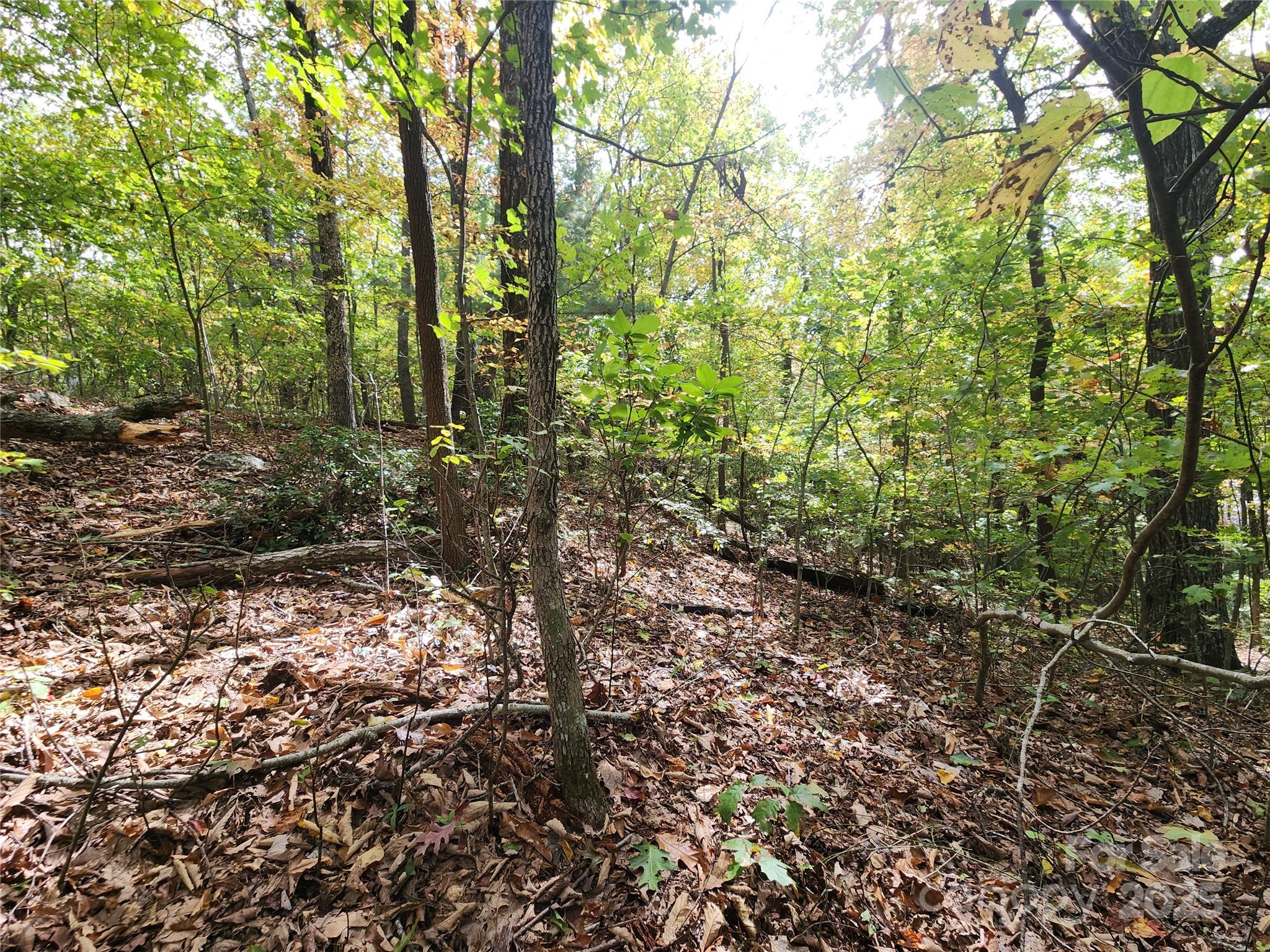 99999 N Pointe Drive 3