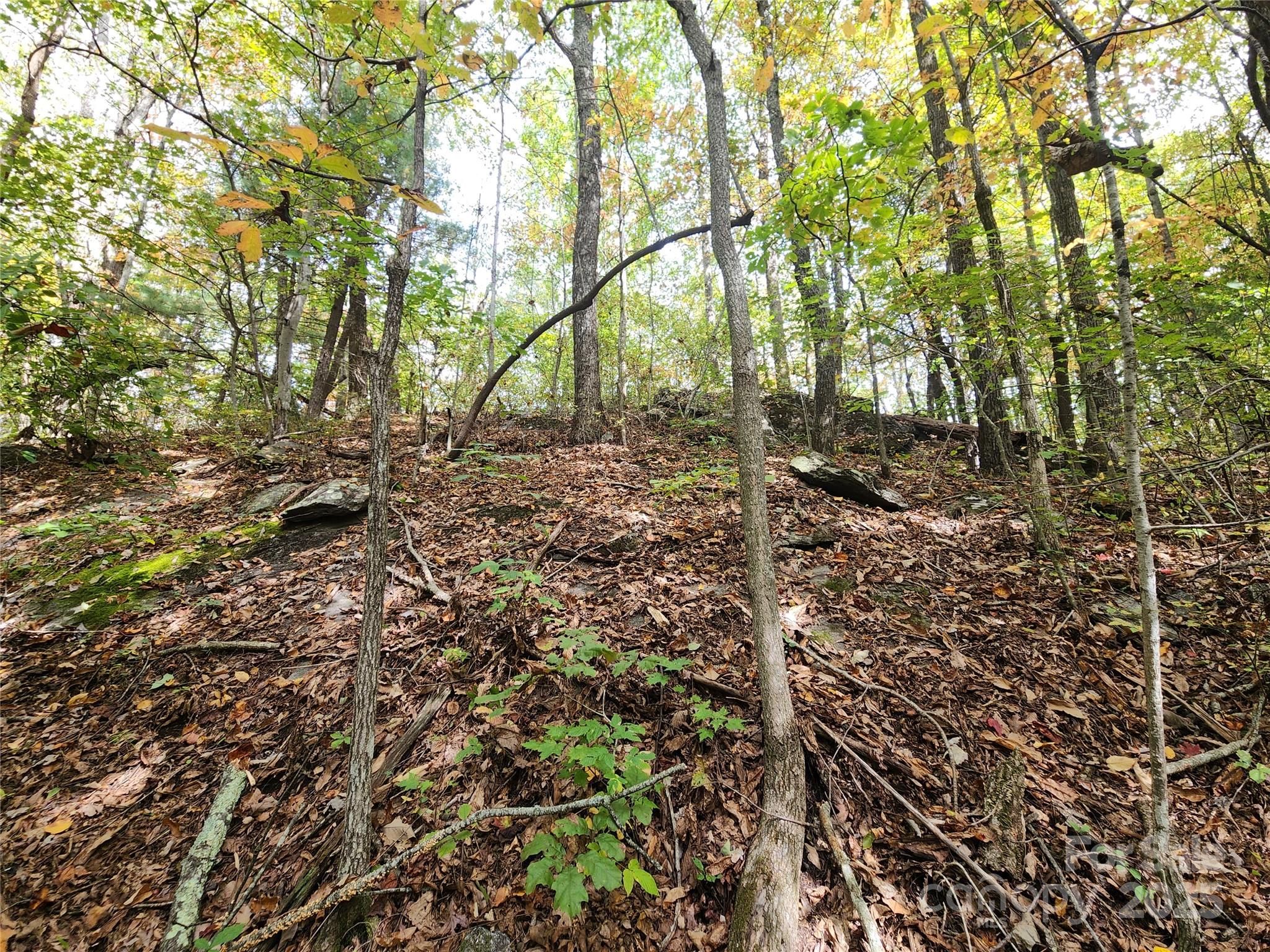 99999 N Pointe Drive 3