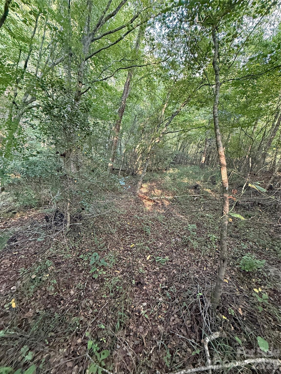 0 Dogwood Vista