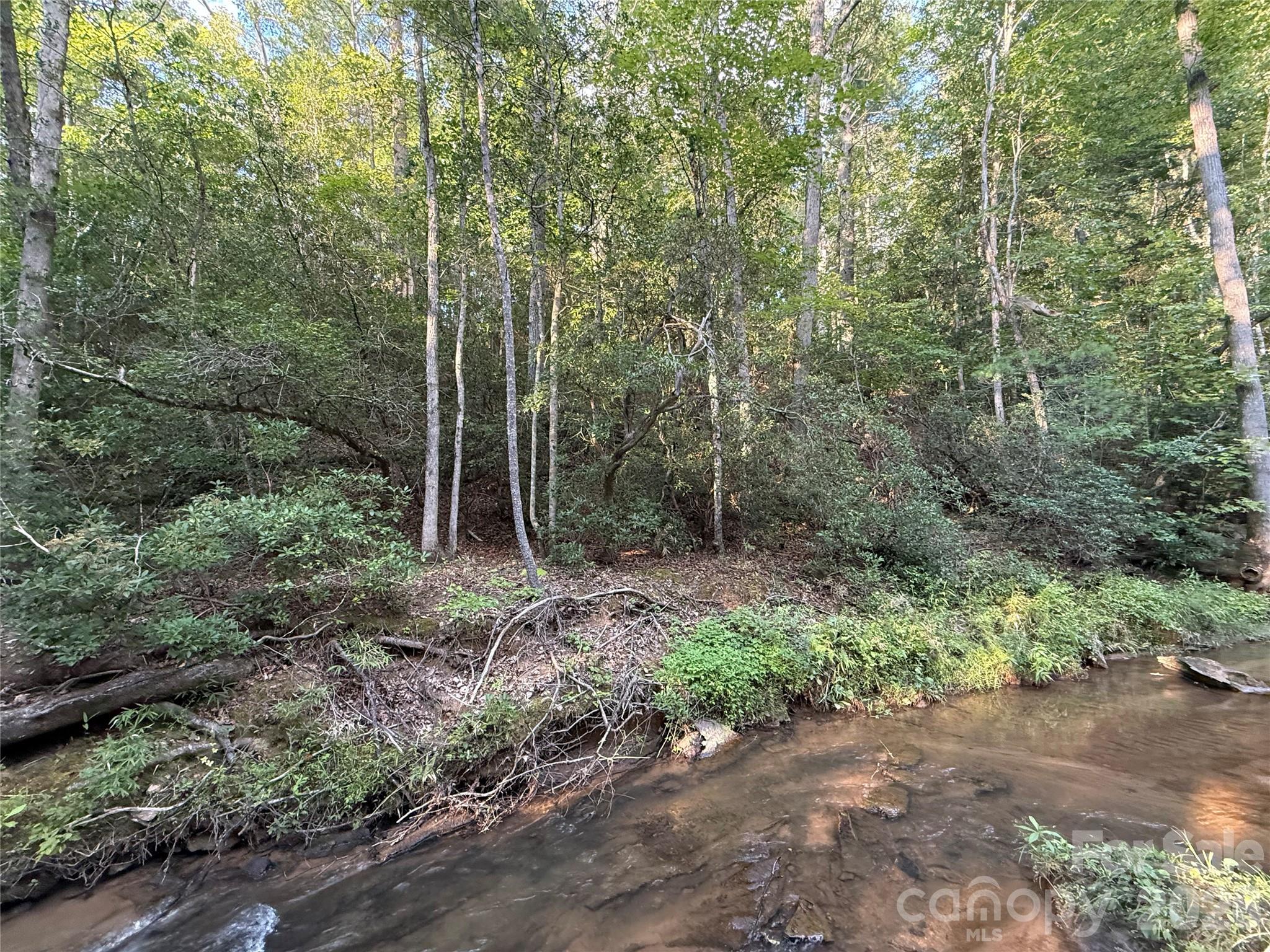 0 Dogwood Vista