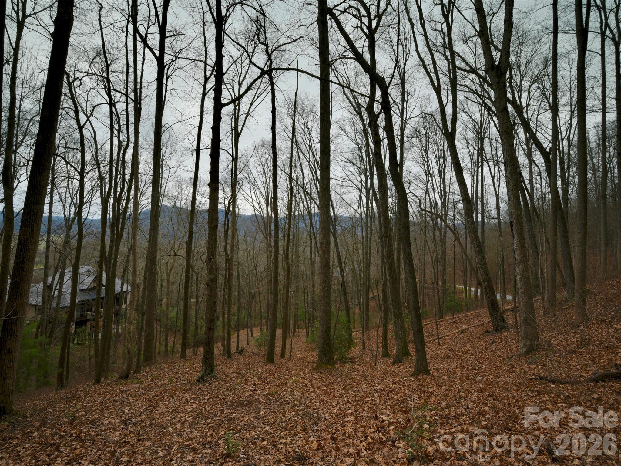 The Cliffs at Walnut Cove - Residential