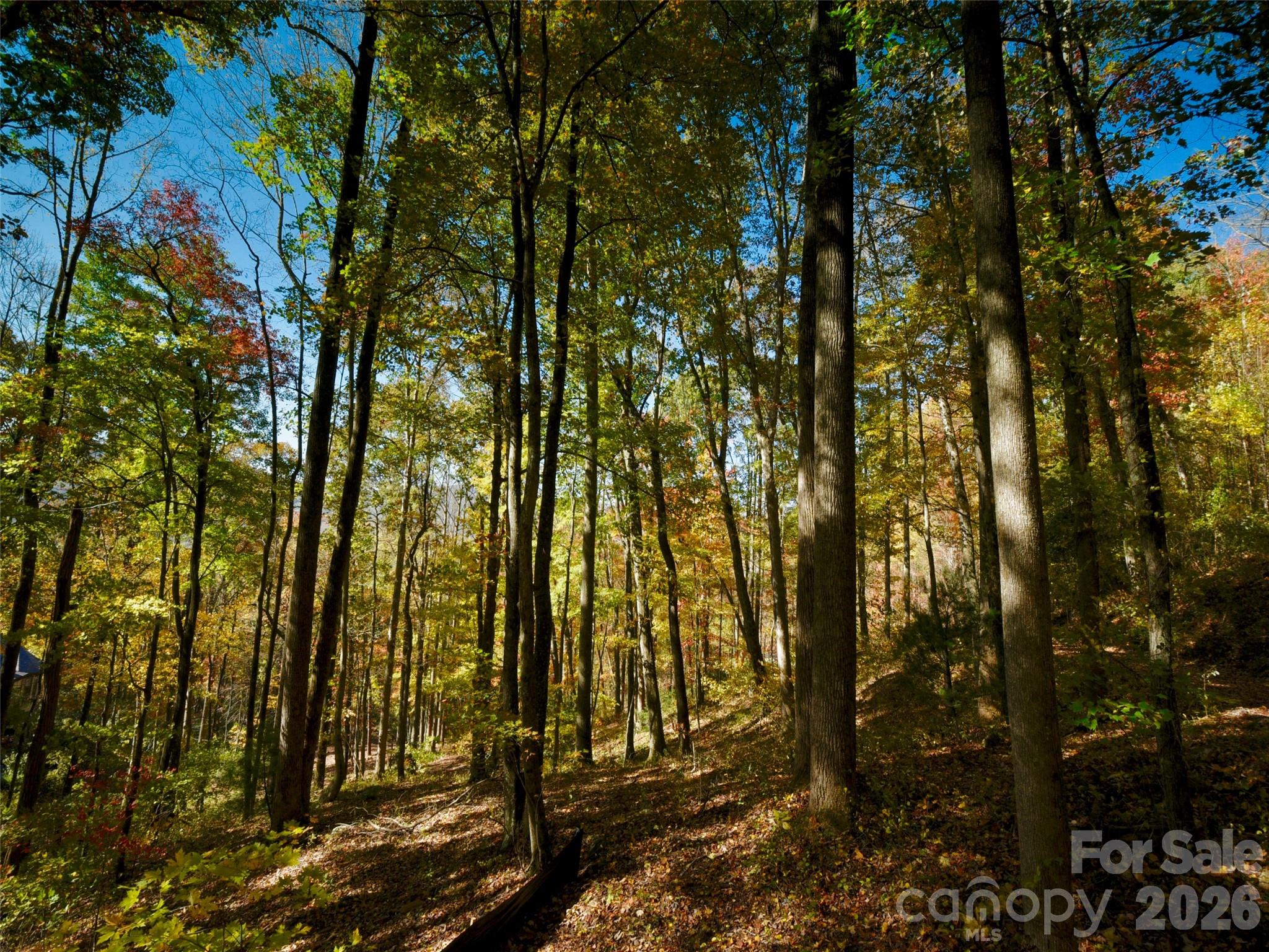The Cliffs at Walnut Cove - Residential
