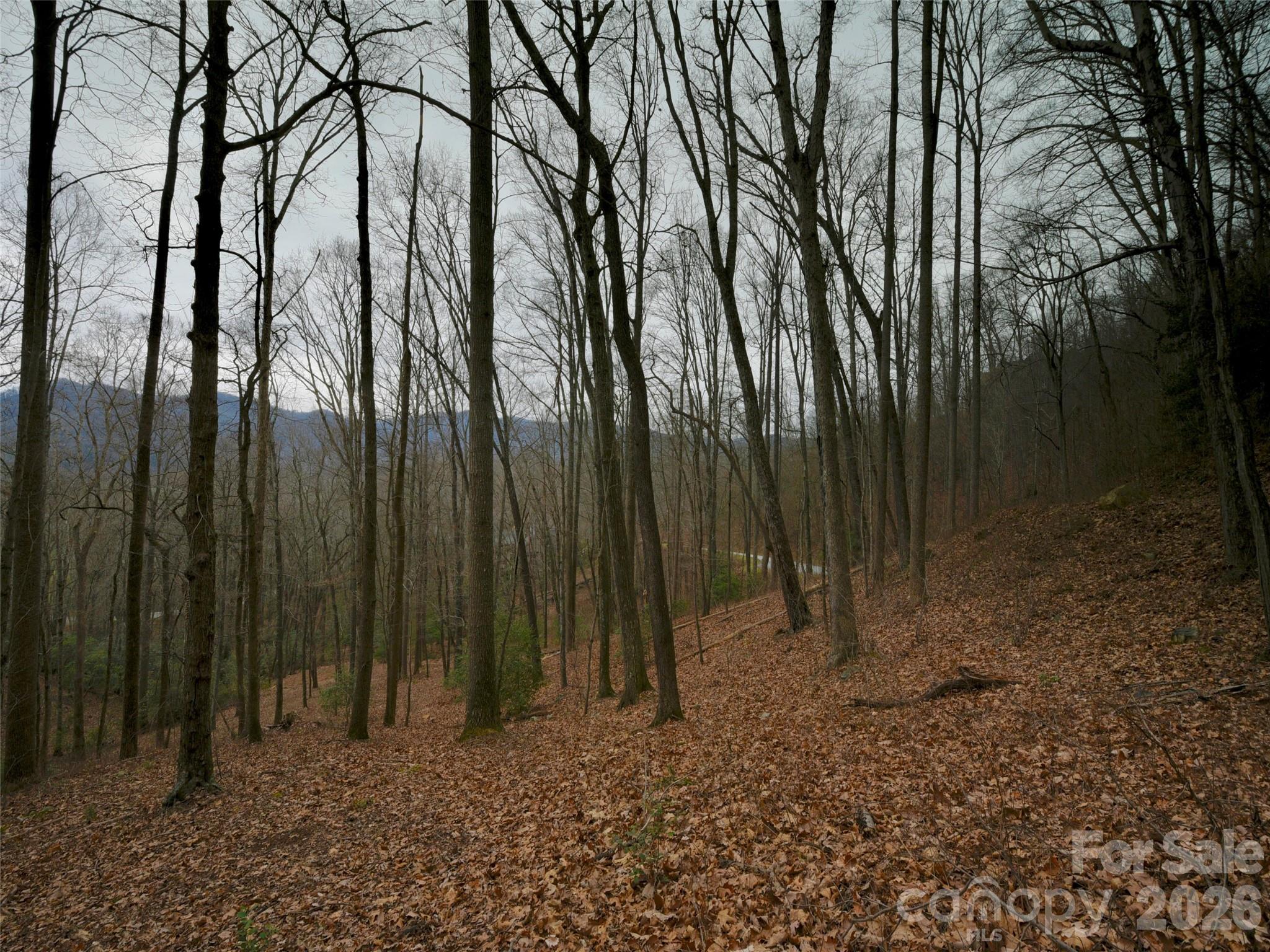 The Cliffs at Walnut Cove - Residential