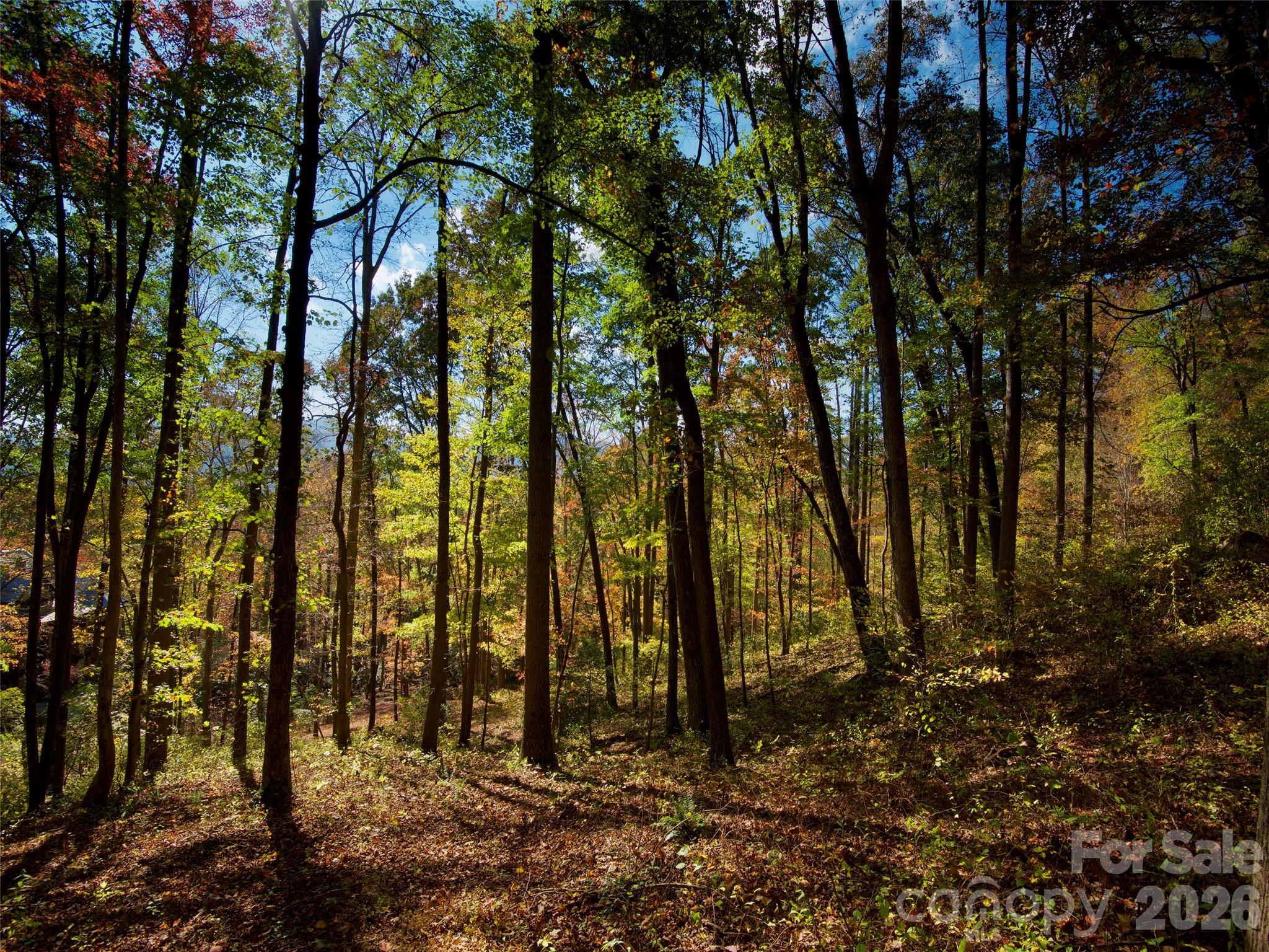 The Cliffs at Walnut Cove - Residential