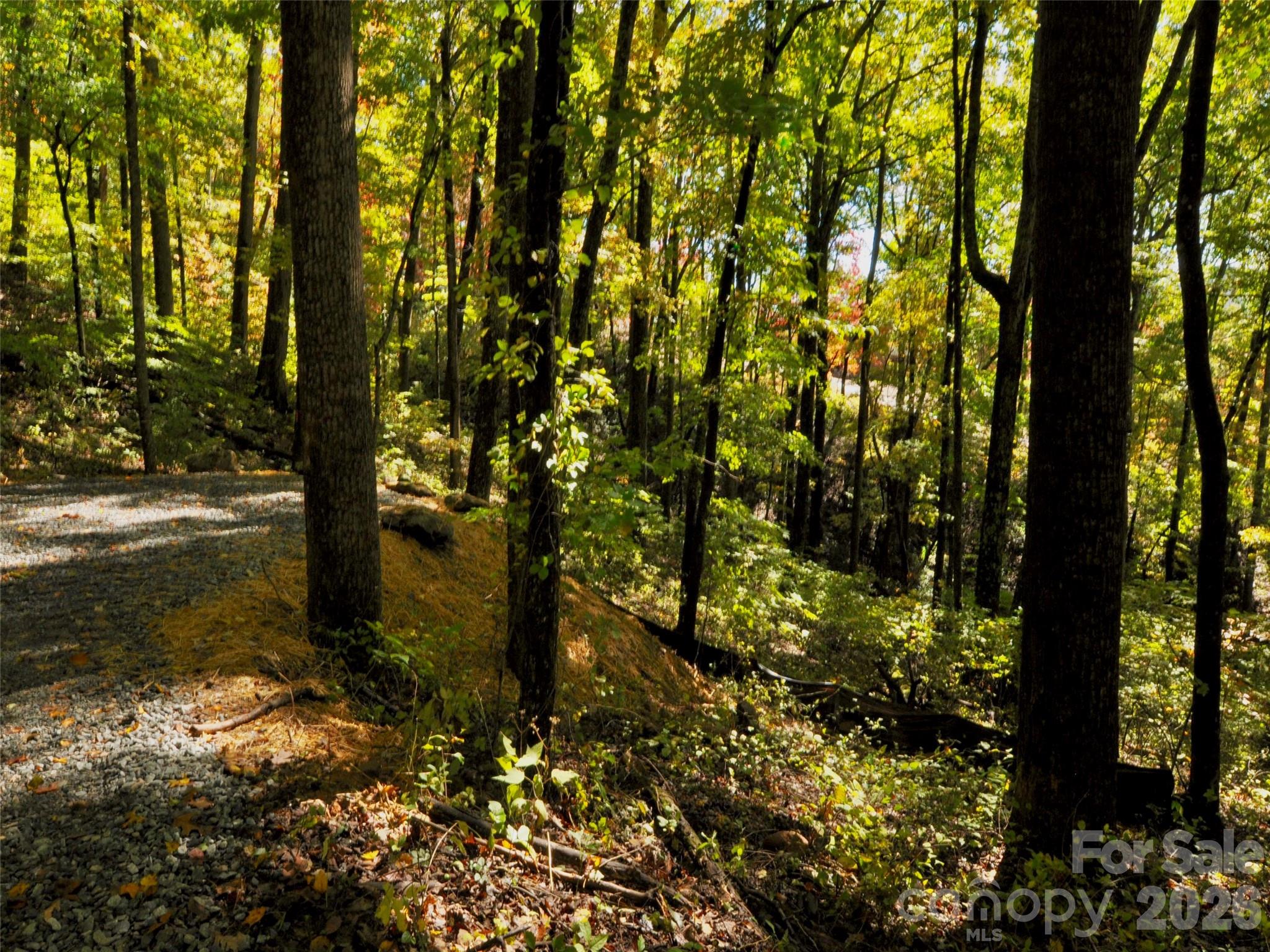 The Cliffs at Walnut Cove - Residential