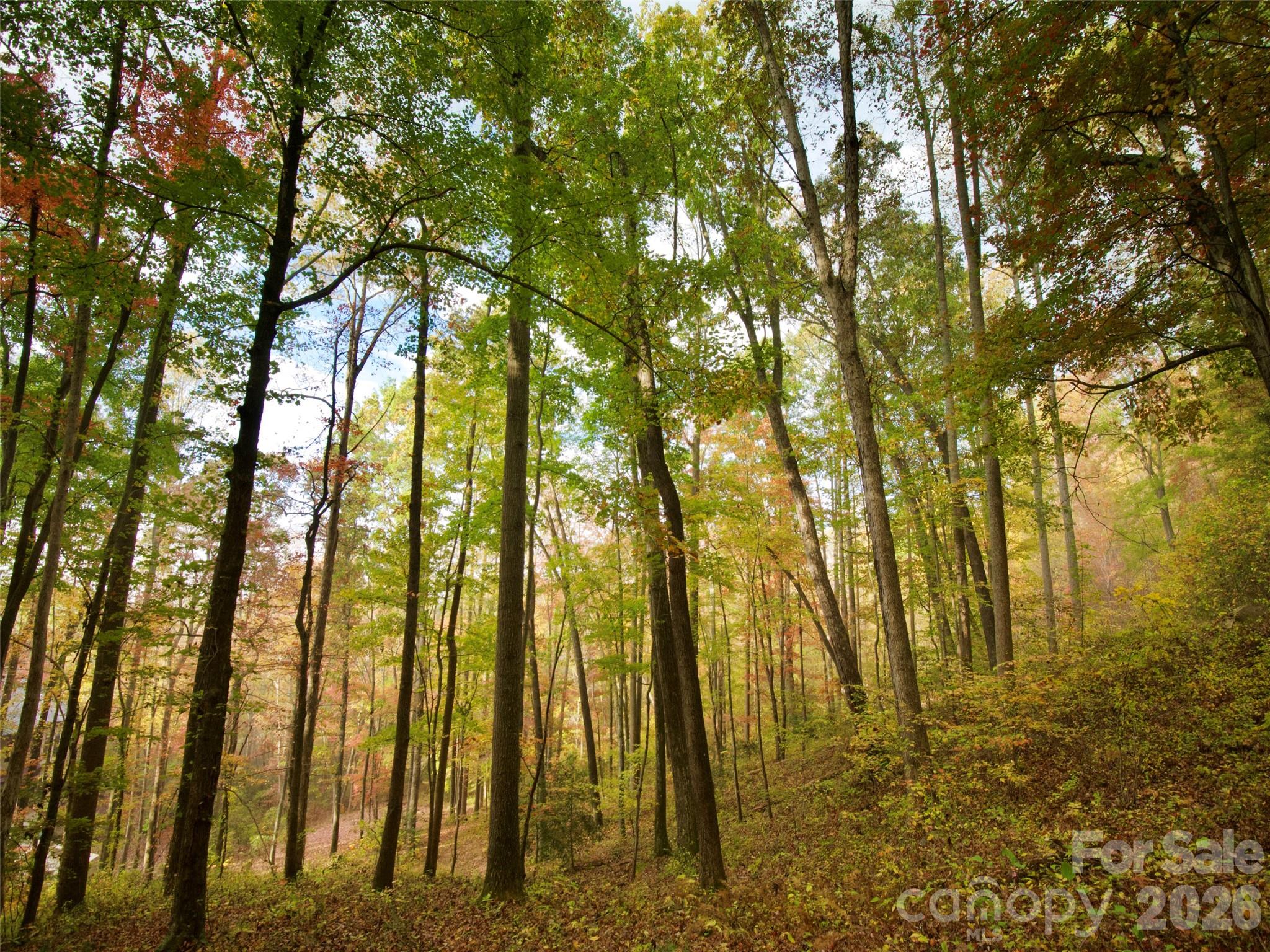 The Cliffs at Walnut Cove - Residential