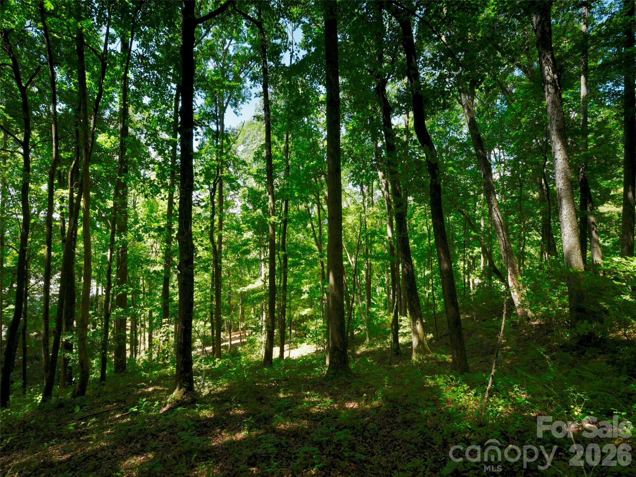 The Cliffs at Walnut Cove - Residential