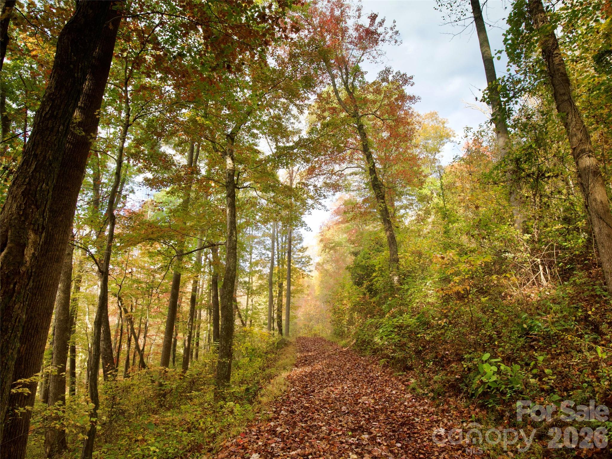 The Cliffs at Walnut Cove - Residential