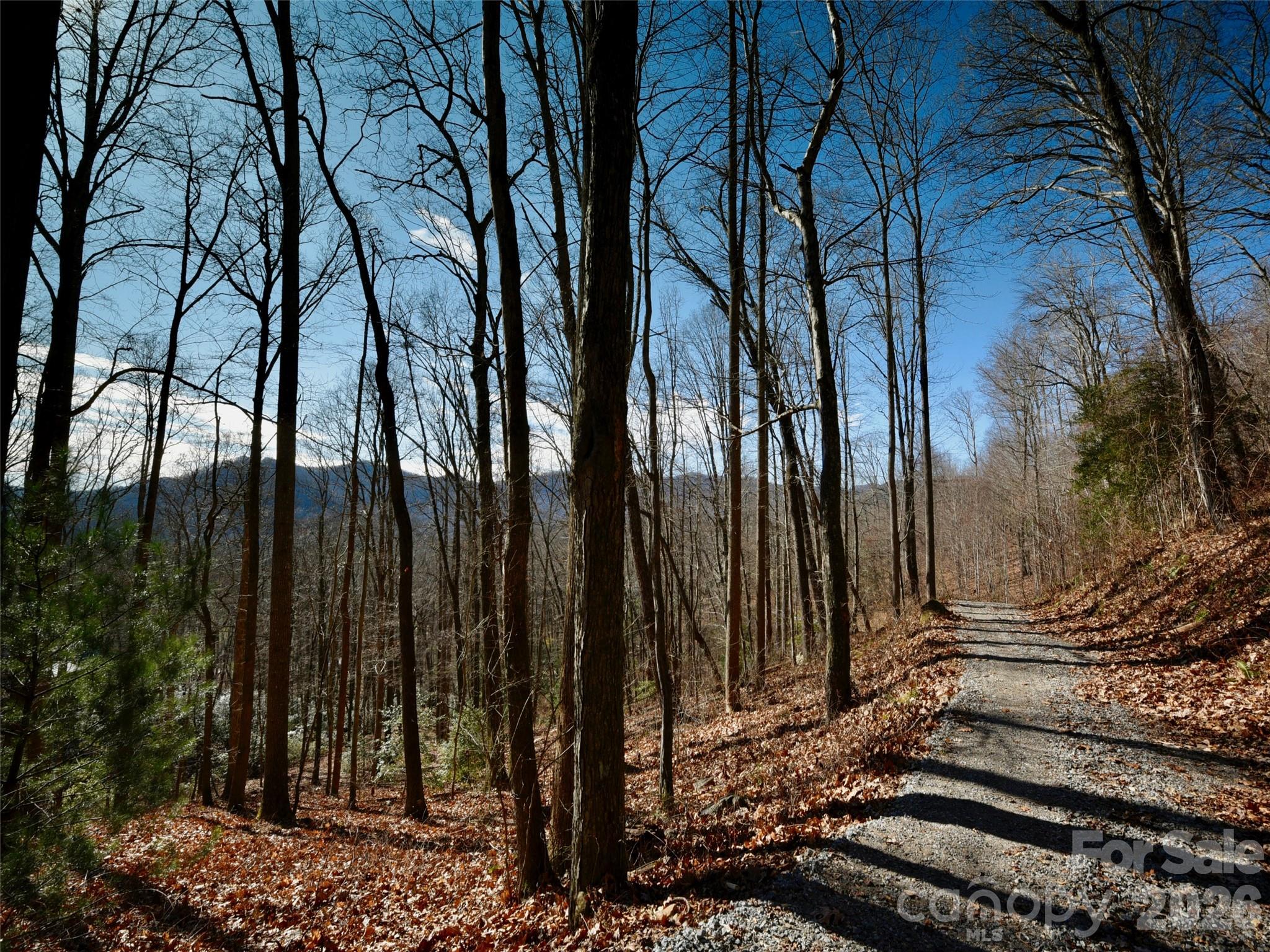 The Cliffs at Walnut Cove - Residential