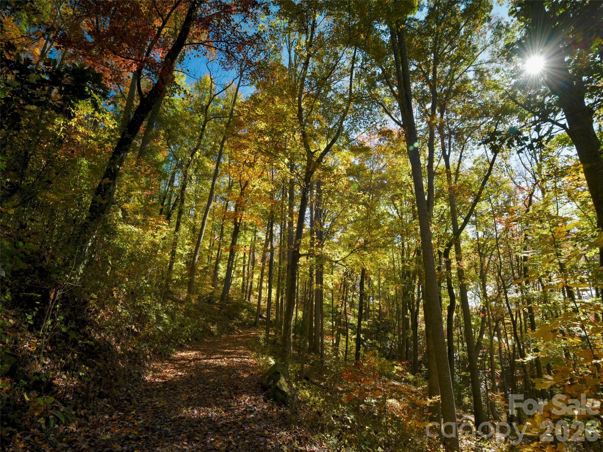 The Cliffs at Walnut Cove - Residential