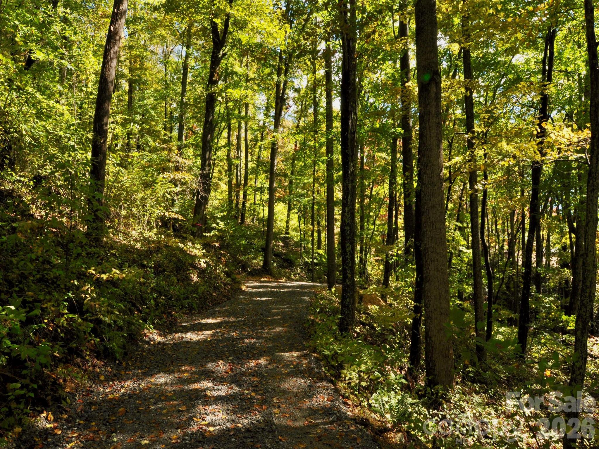 The Cliffs at Walnut Cove - Residential