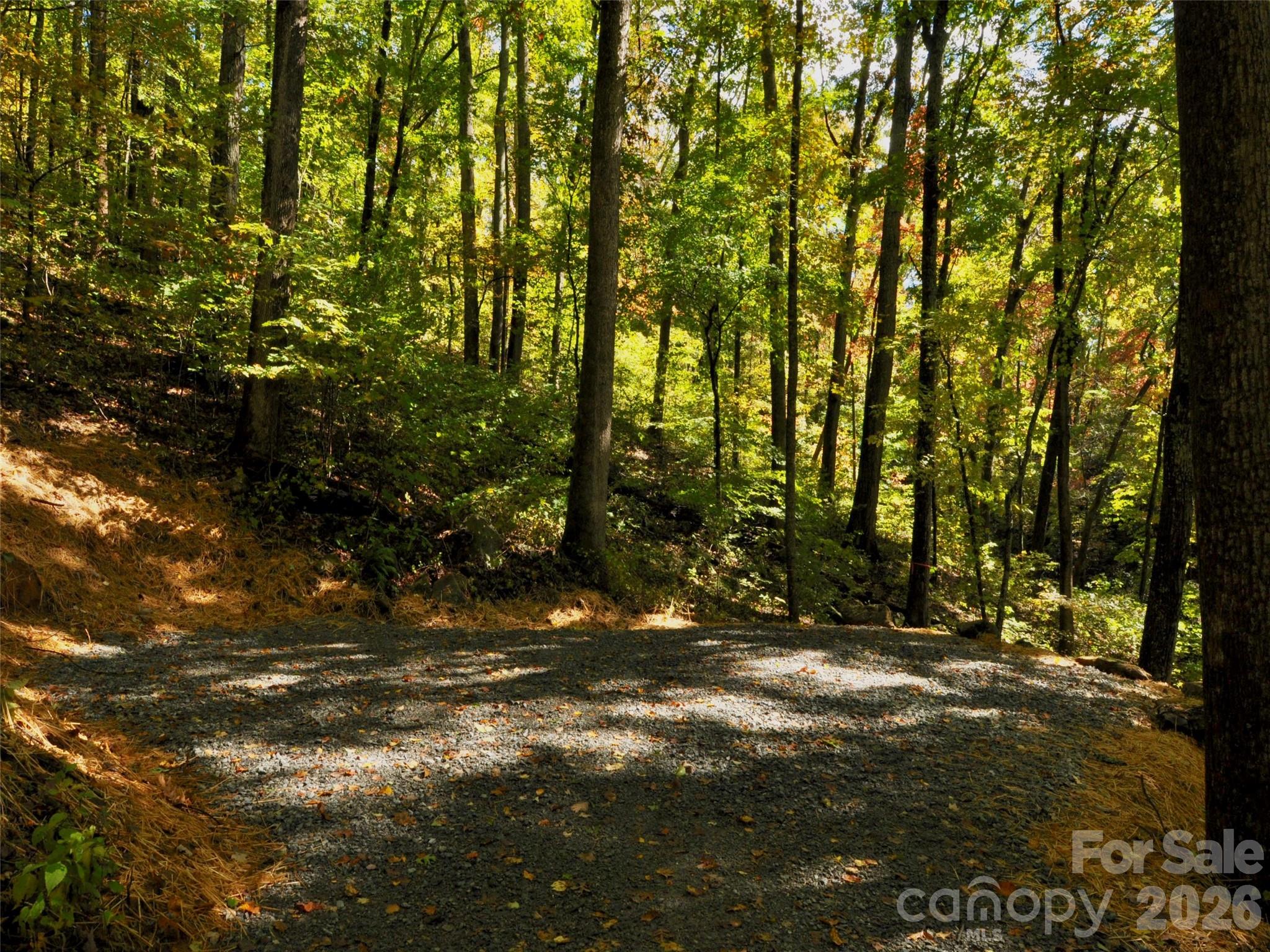 The Cliffs at Walnut Cove - Residential