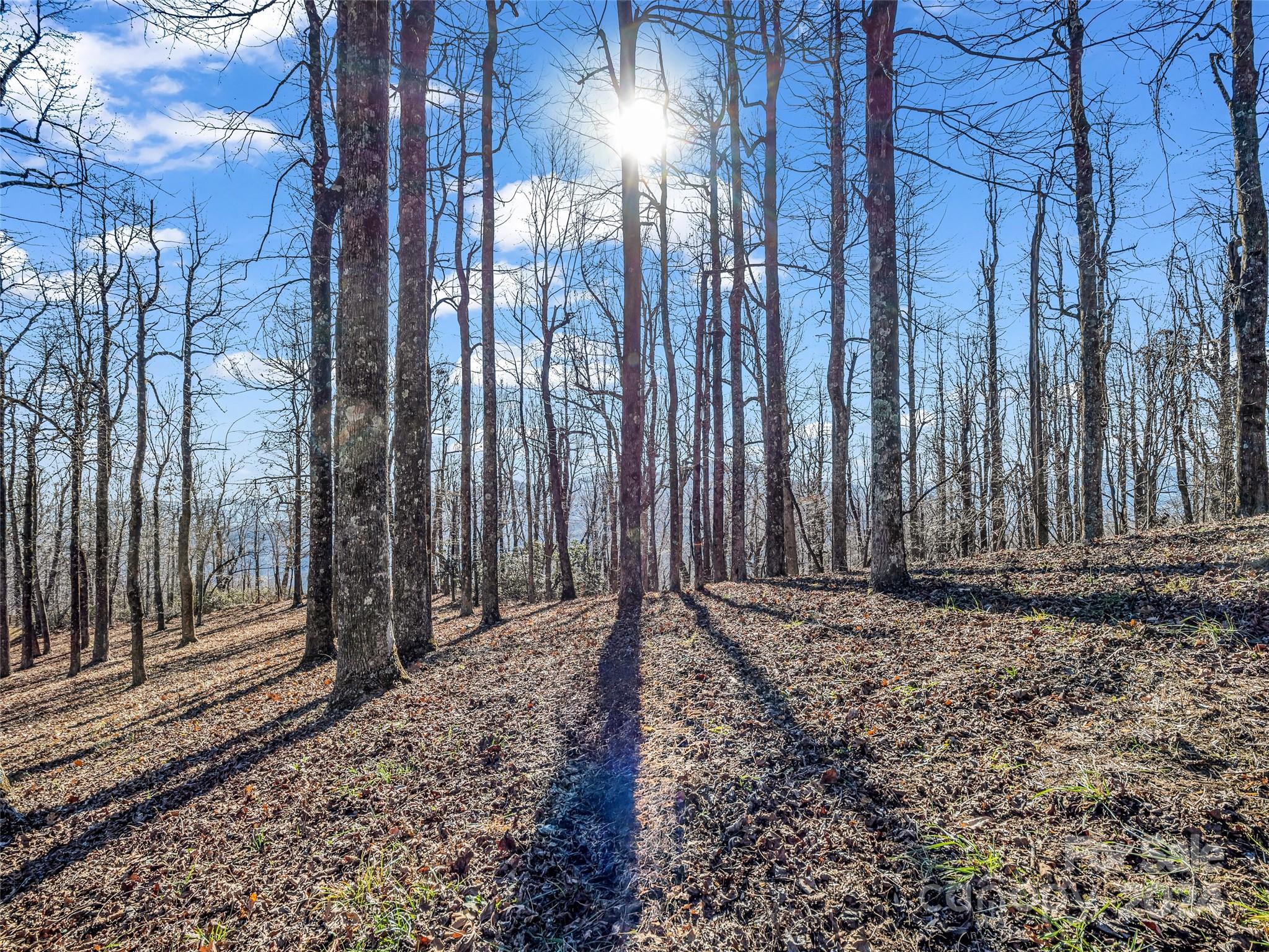 High Cliffs At Round Mountain - Land