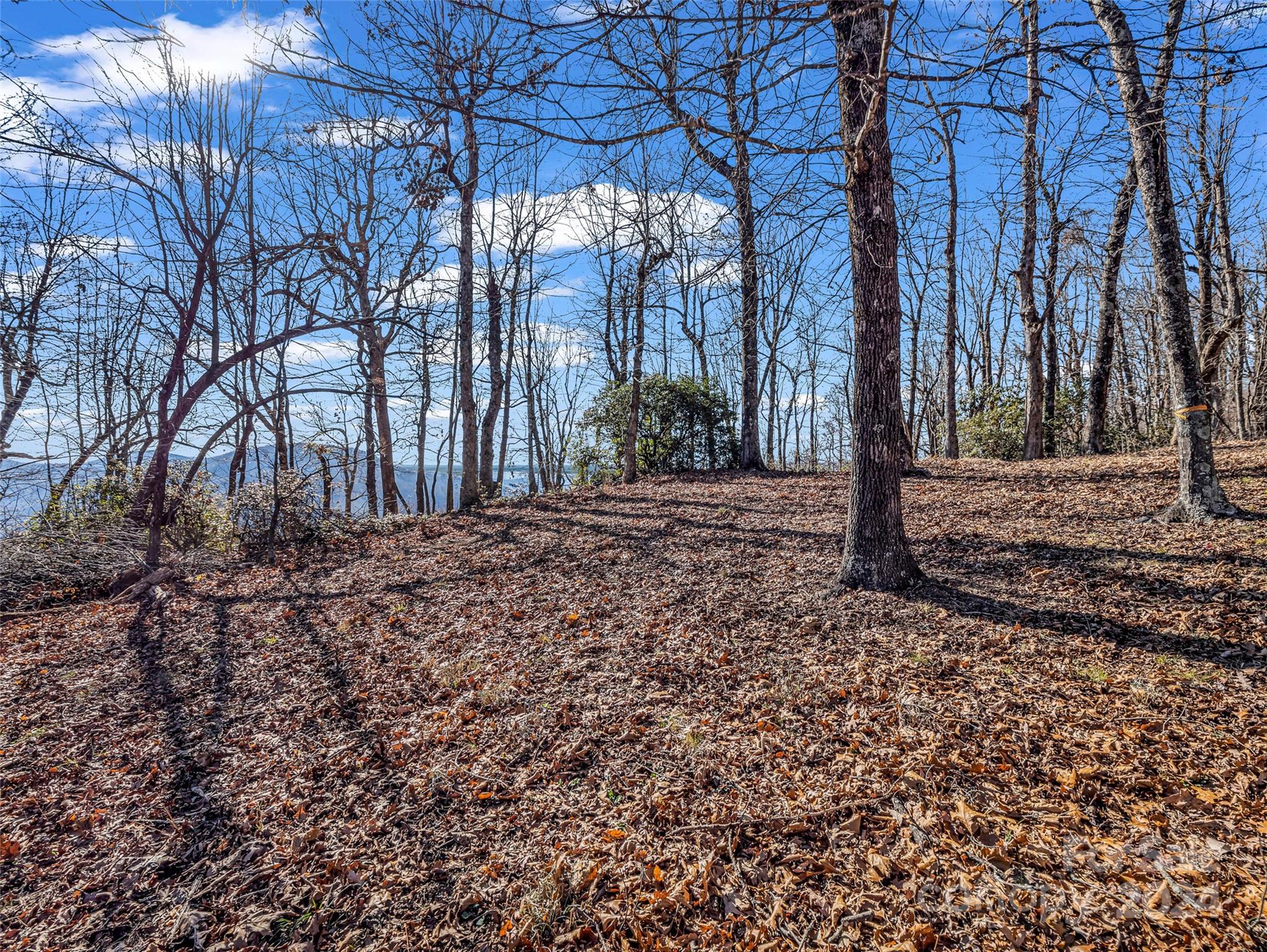 High Cliffs At Round Mountain - Land