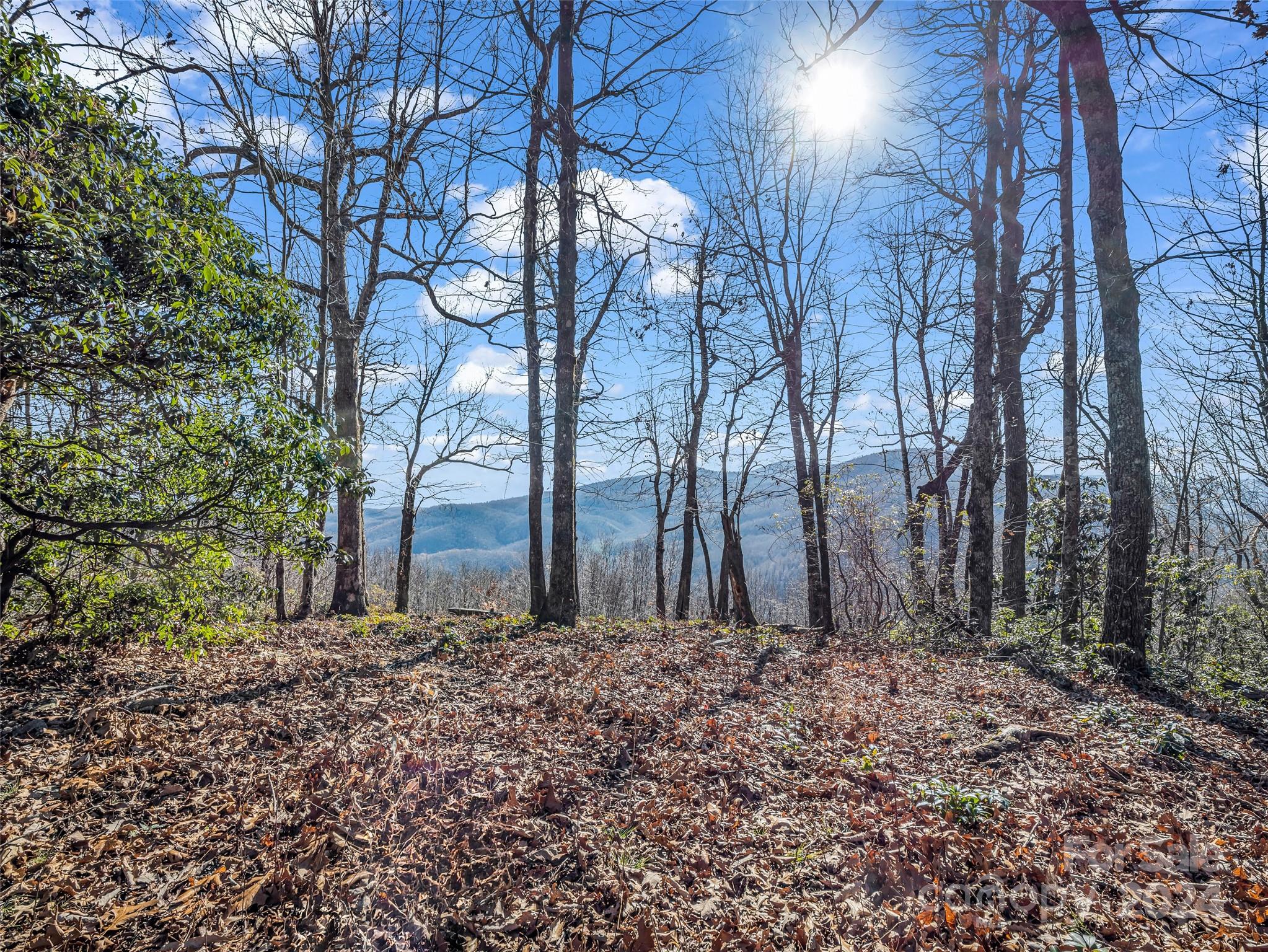 High Cliffs At Round Mountain - Land