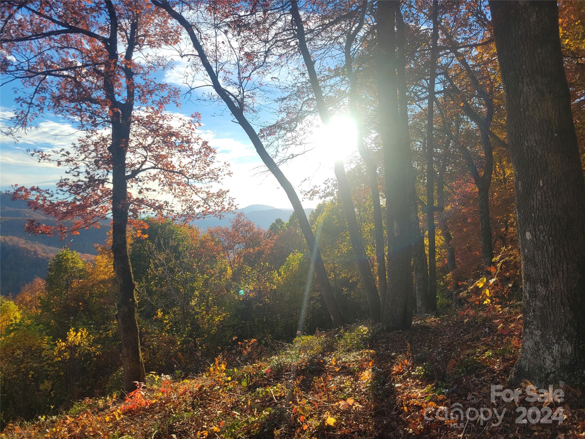 99999 High Cliffs Trail Lot 5