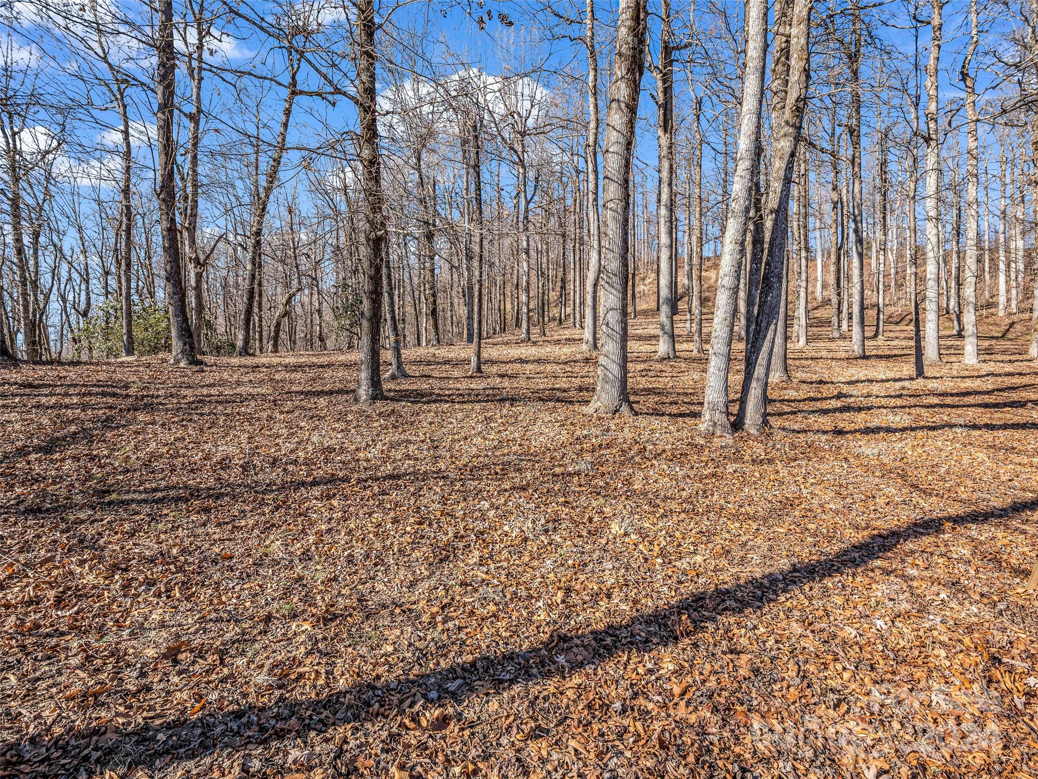 High Cliffs At Round Mountain - Land