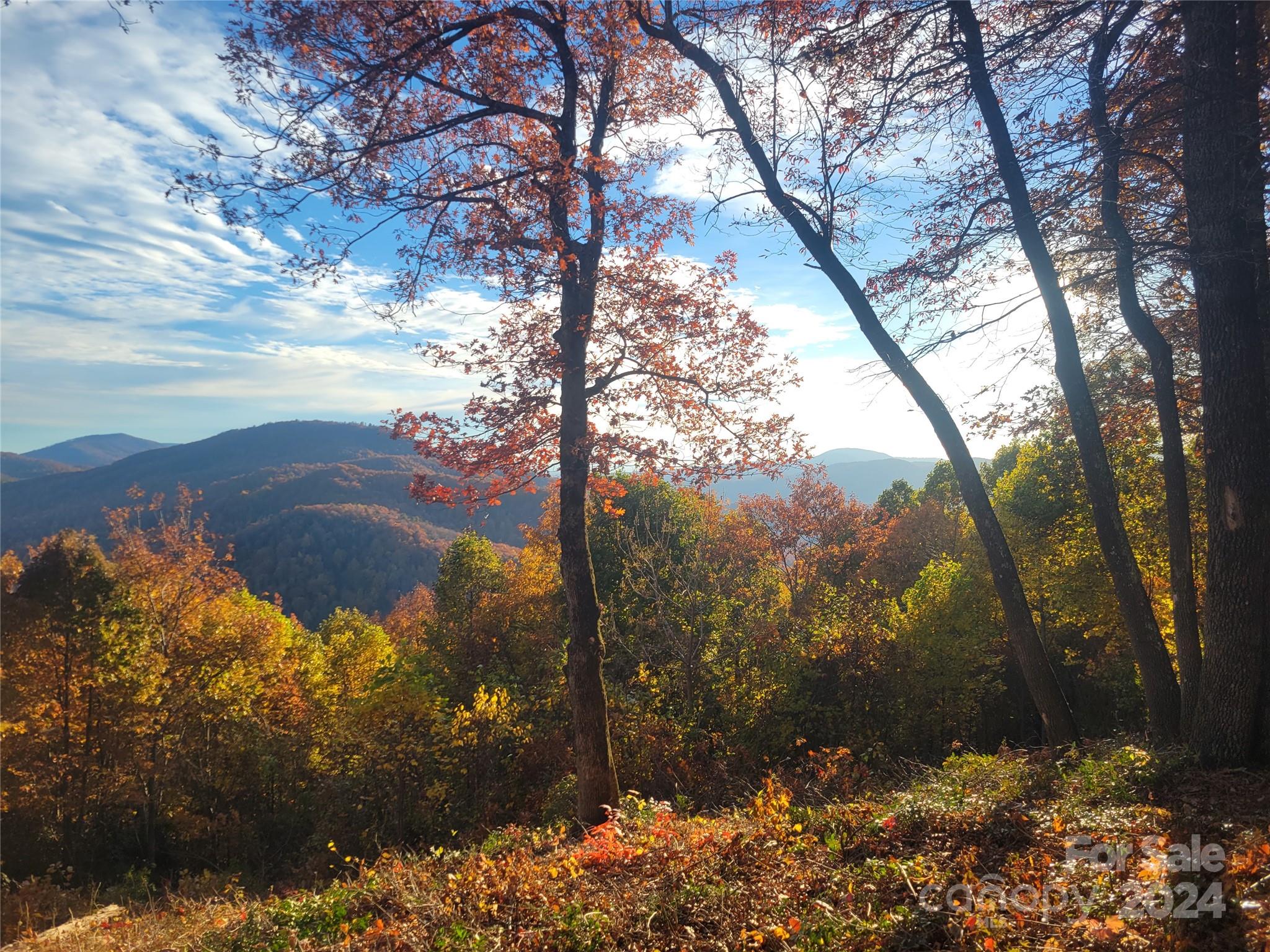 99999 High Cliffs Trail Lot 5