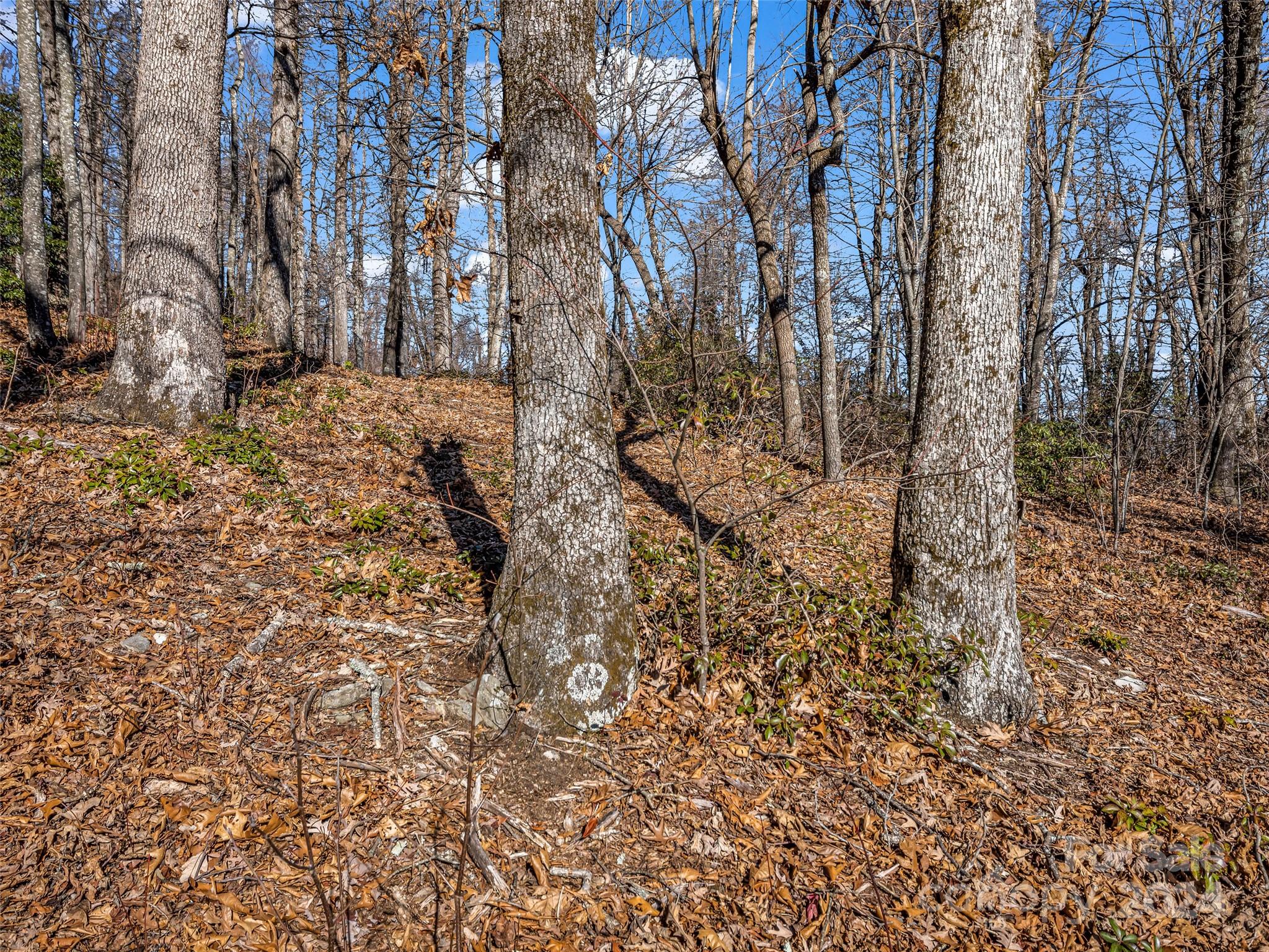High Cliffs At Round Mountain - Land