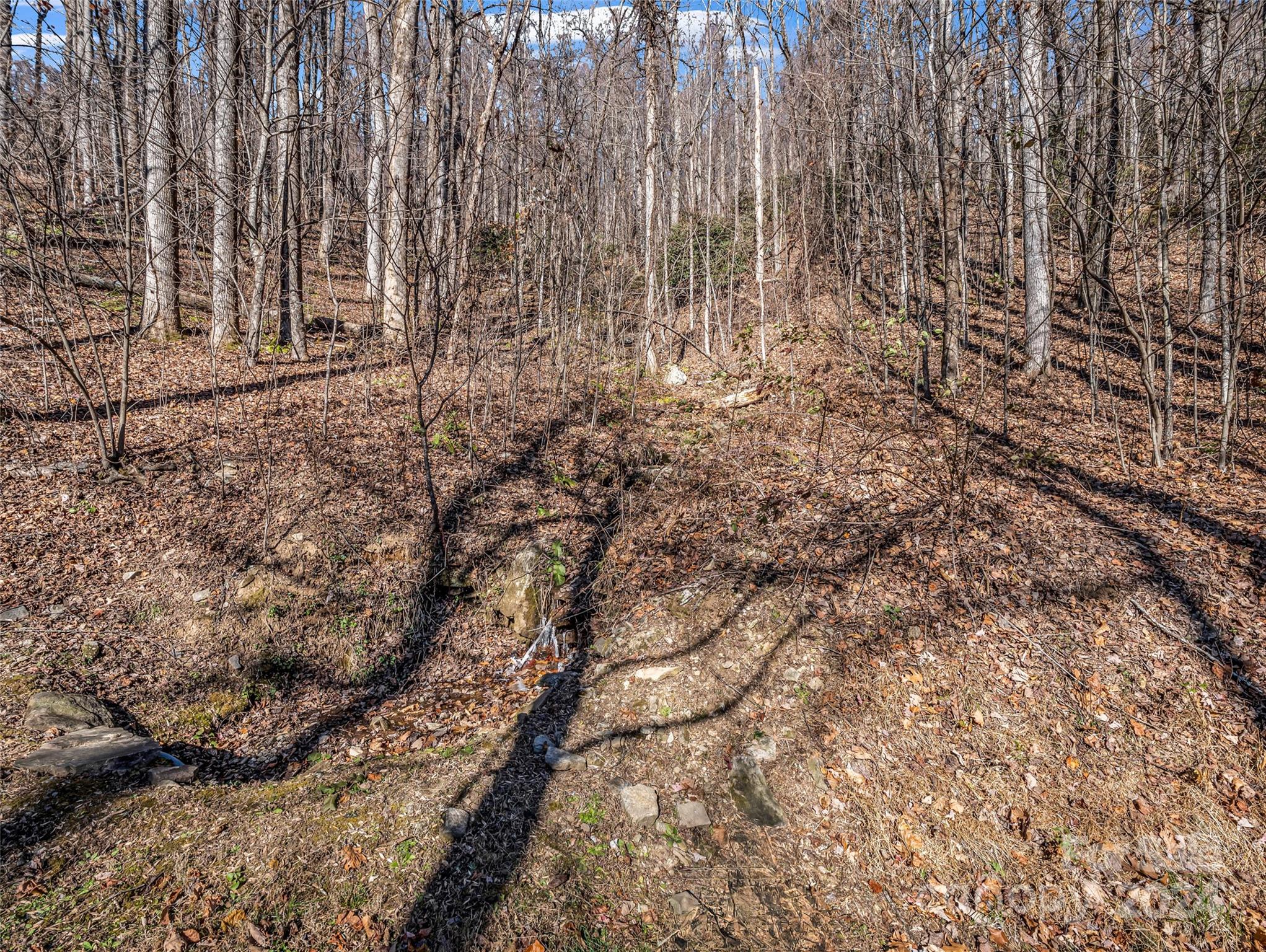 High Cliffs At Round Mountain - Land