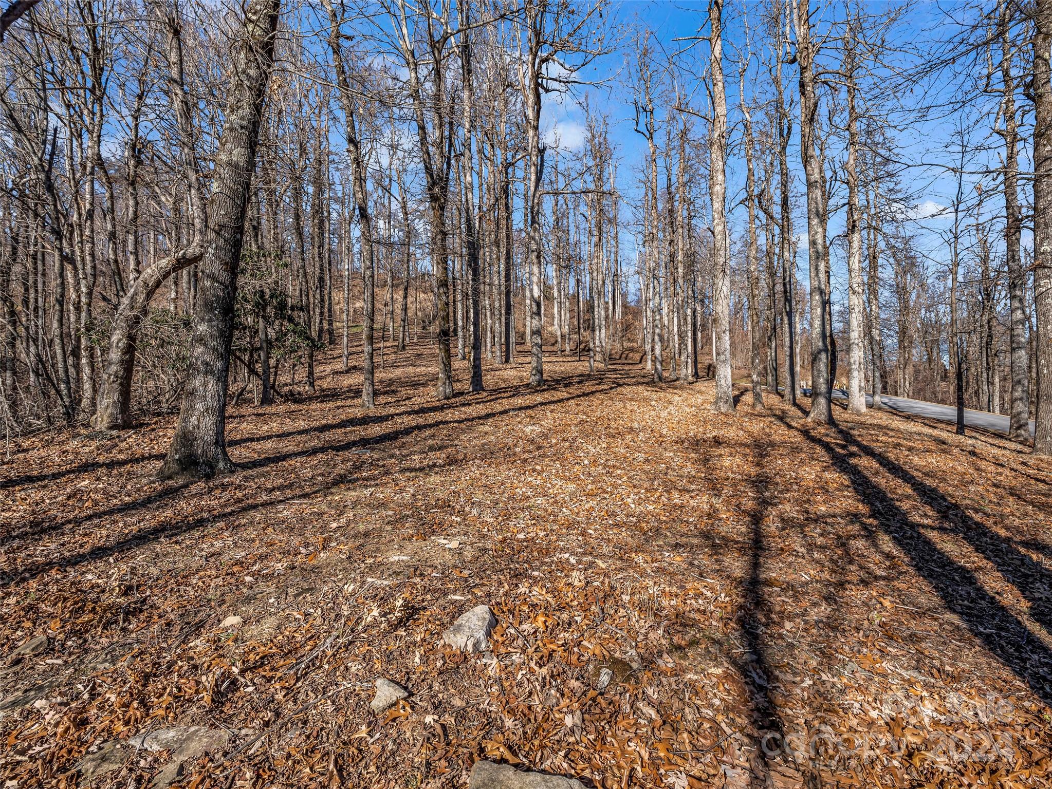 High Cliffs At Round Mountain - Land