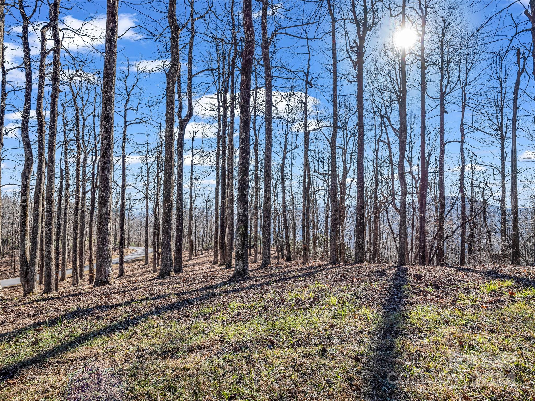High Cliffs At Round Mountain - Land
