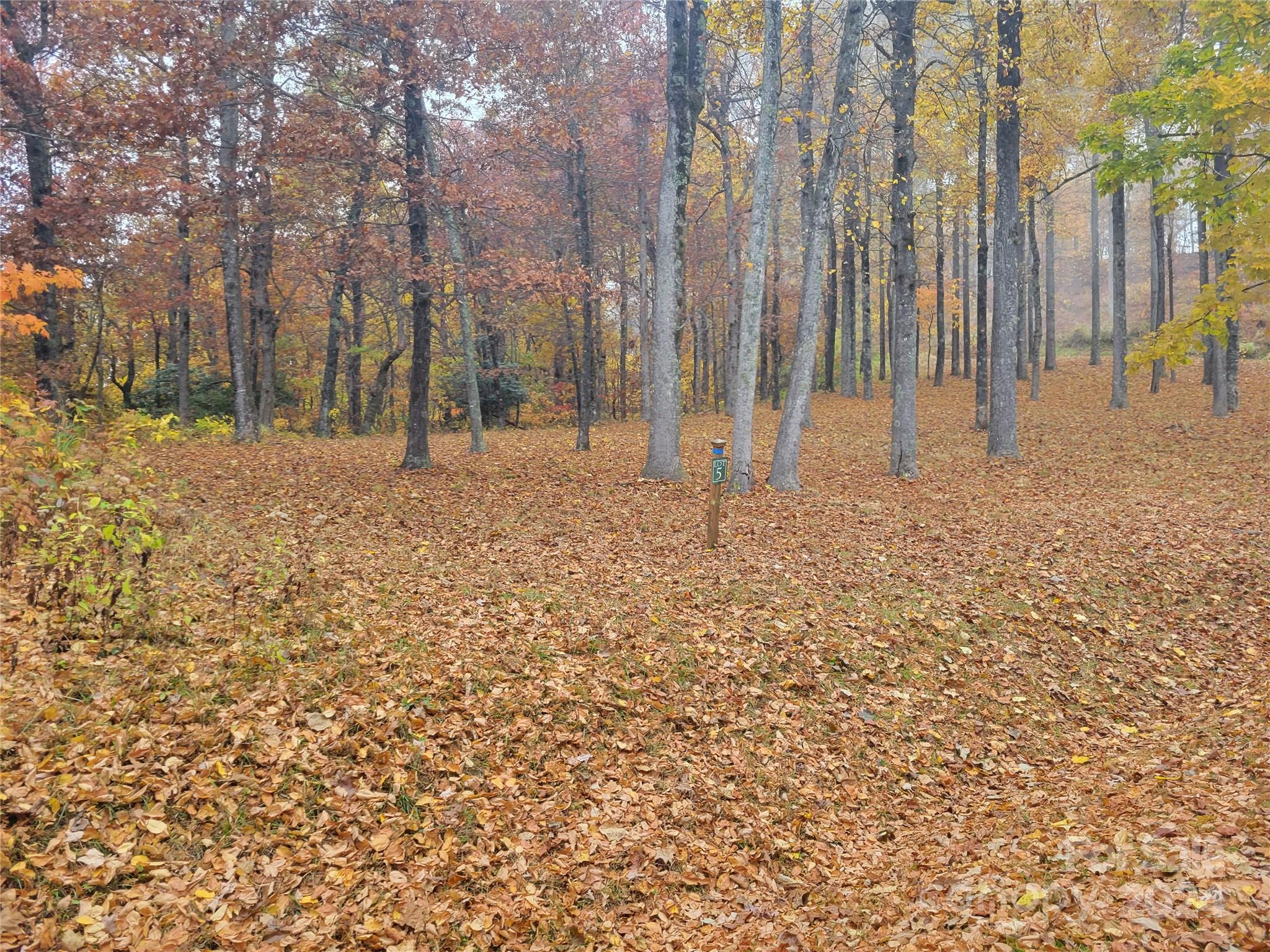 99999 High Cliffs Trail Lot 5