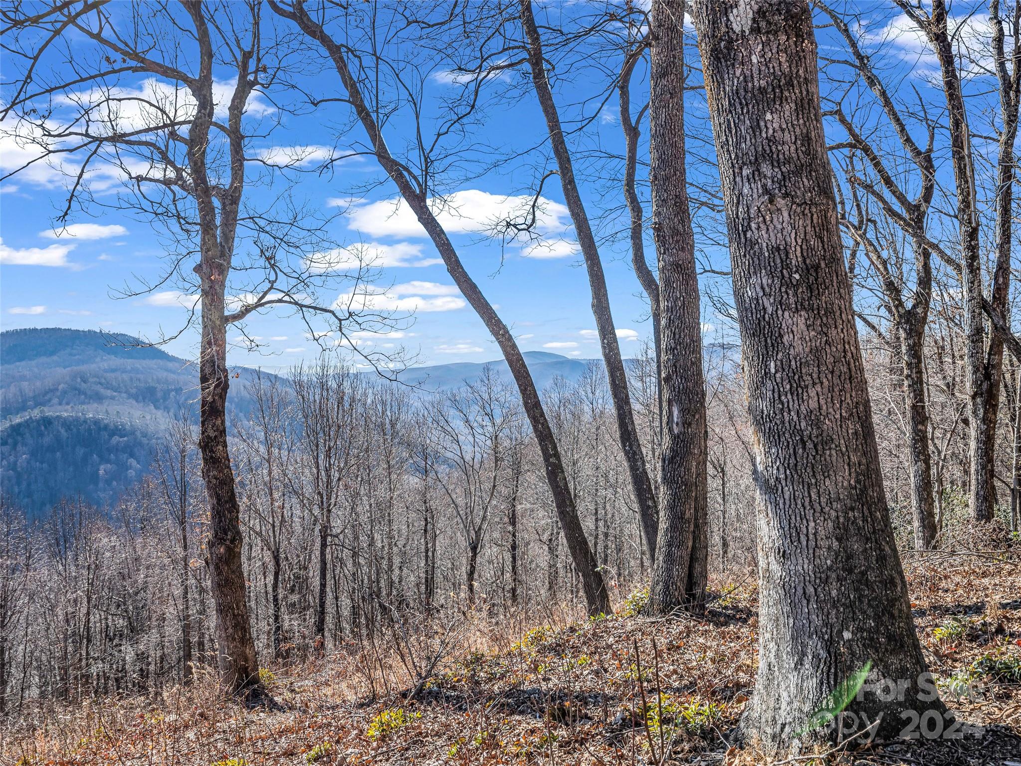 High Cliffs At Round Mountain - Land