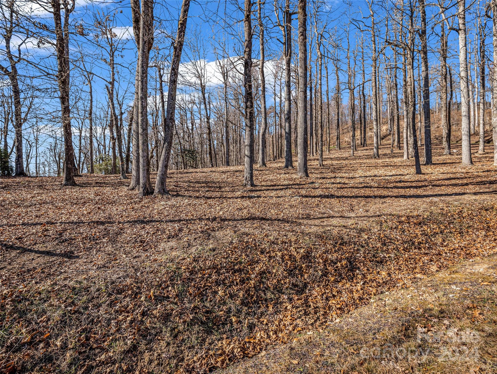 High Cliffs At Round Mountain - Land