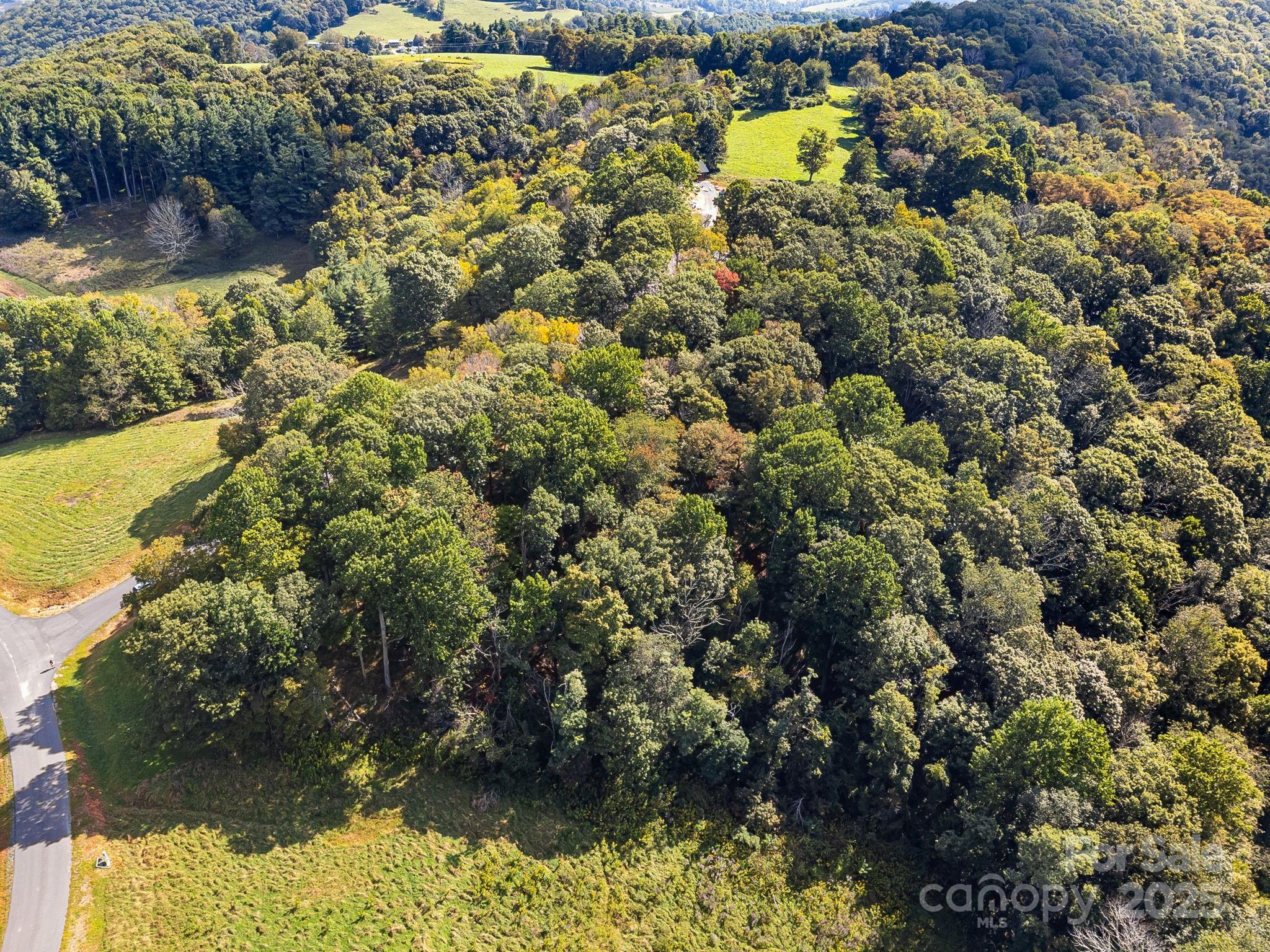 Poplar Forest - Land