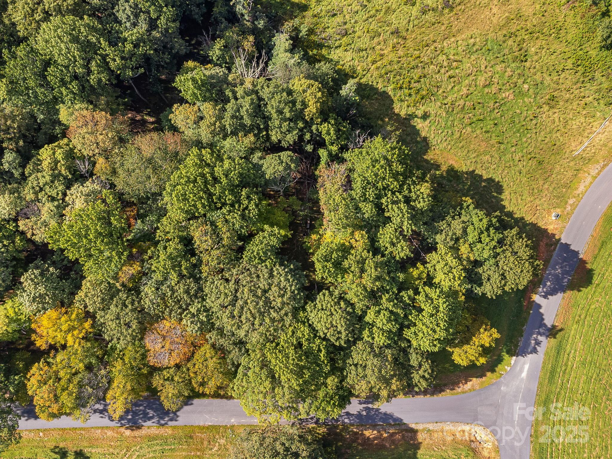 Poplar Forest - Land