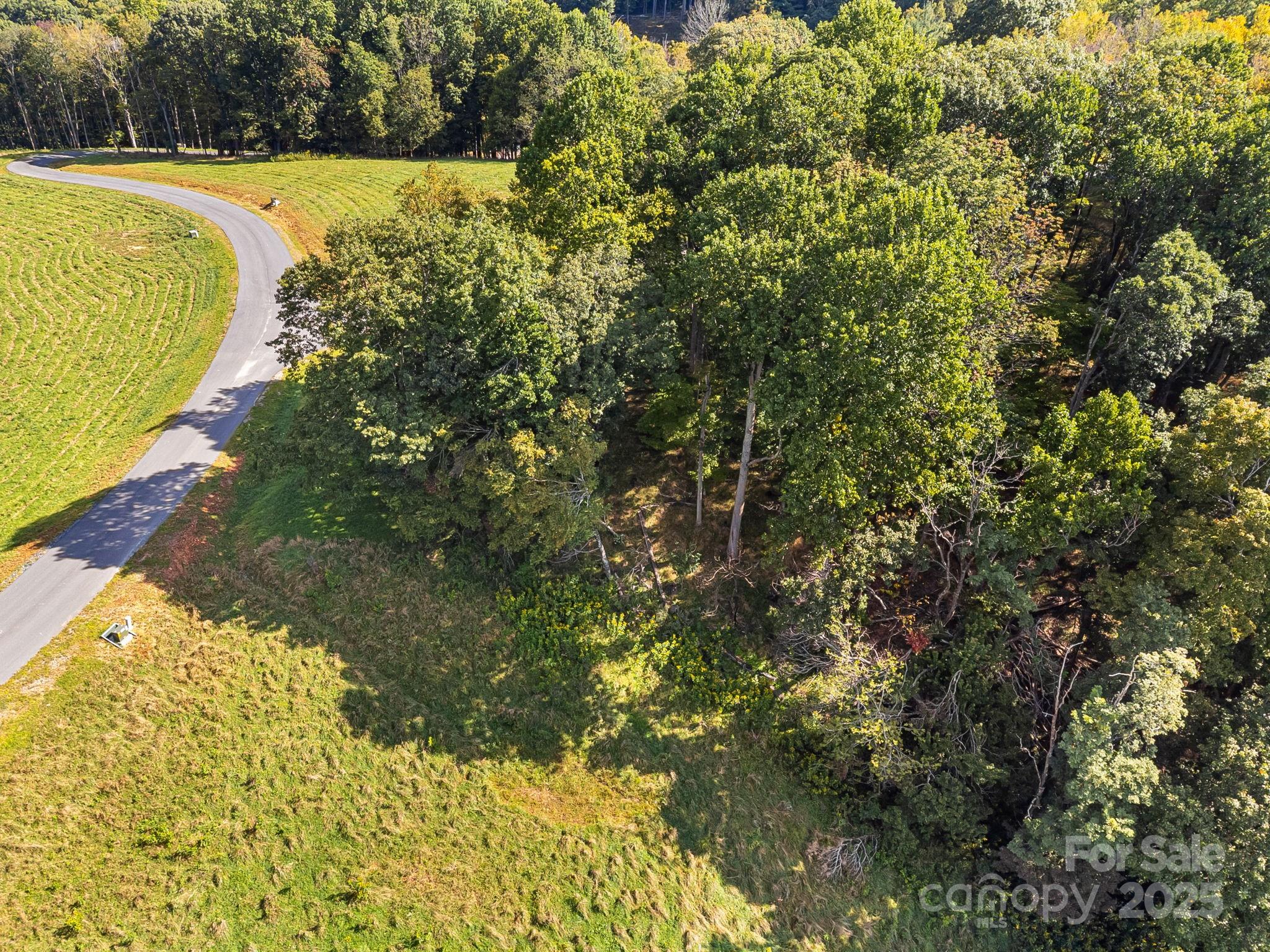 Poplar Forest - Land