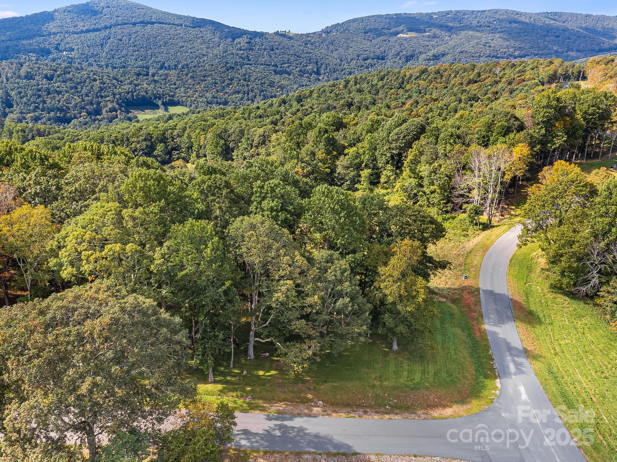 Poplar Forest - Land