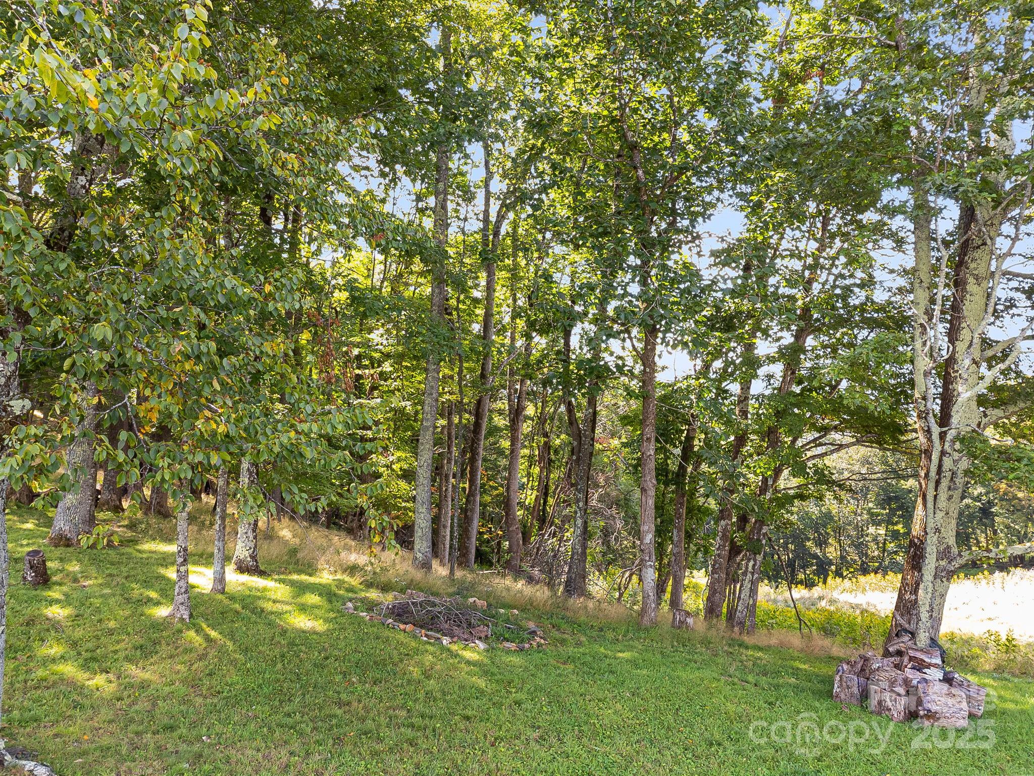 Poplar Forest - Land