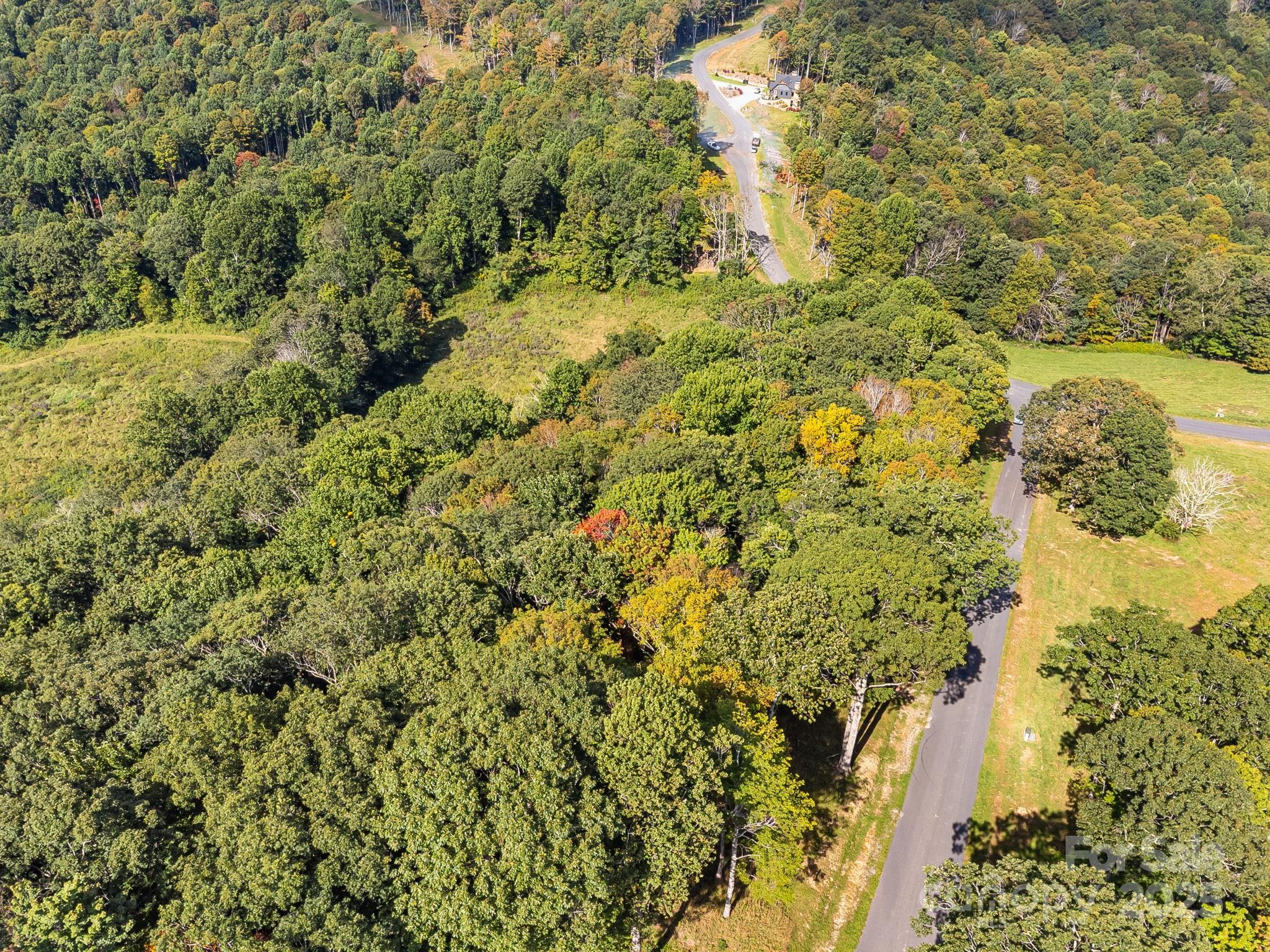 Poplar Forest - Land