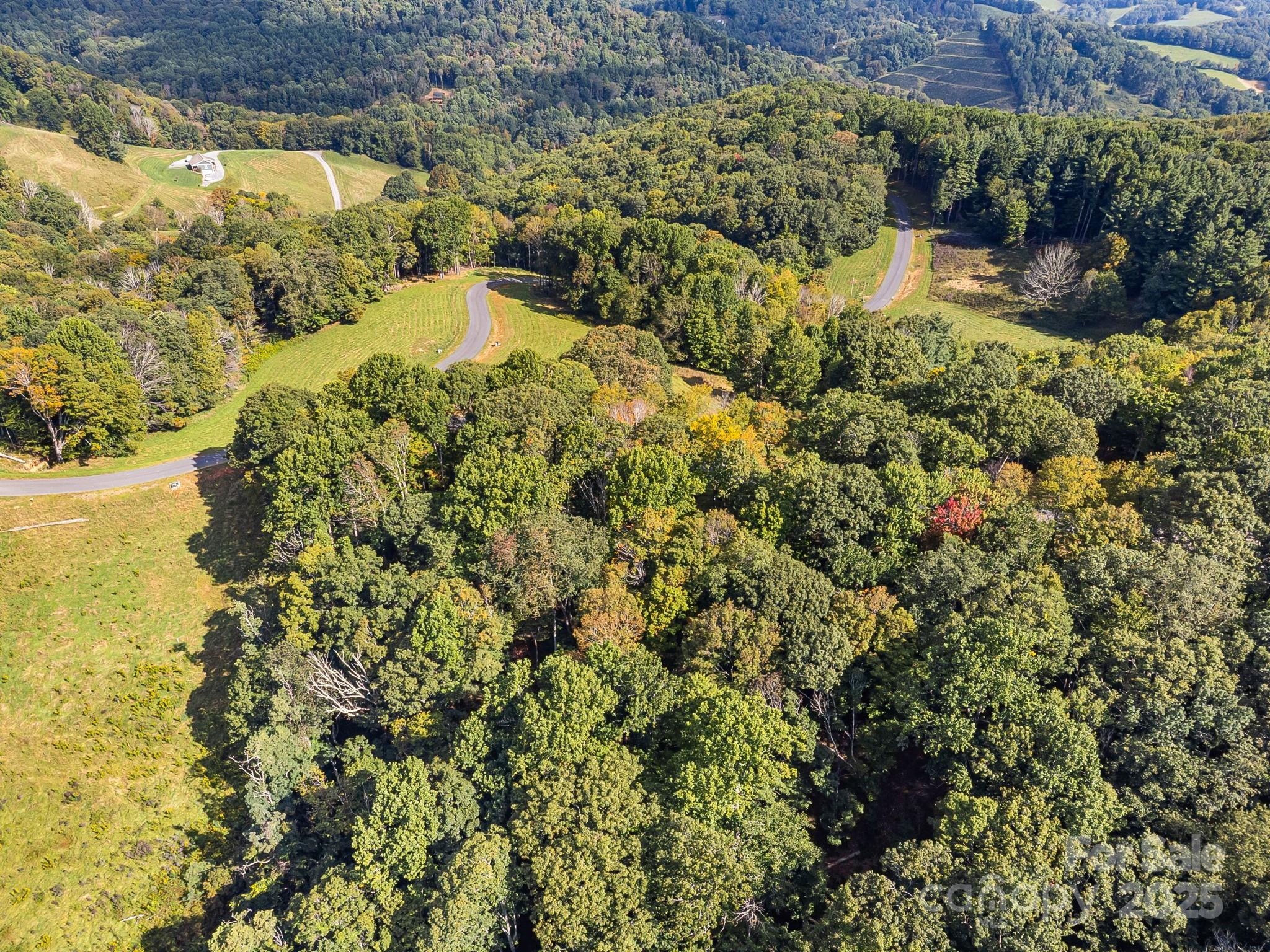 Poplar Forest - Land