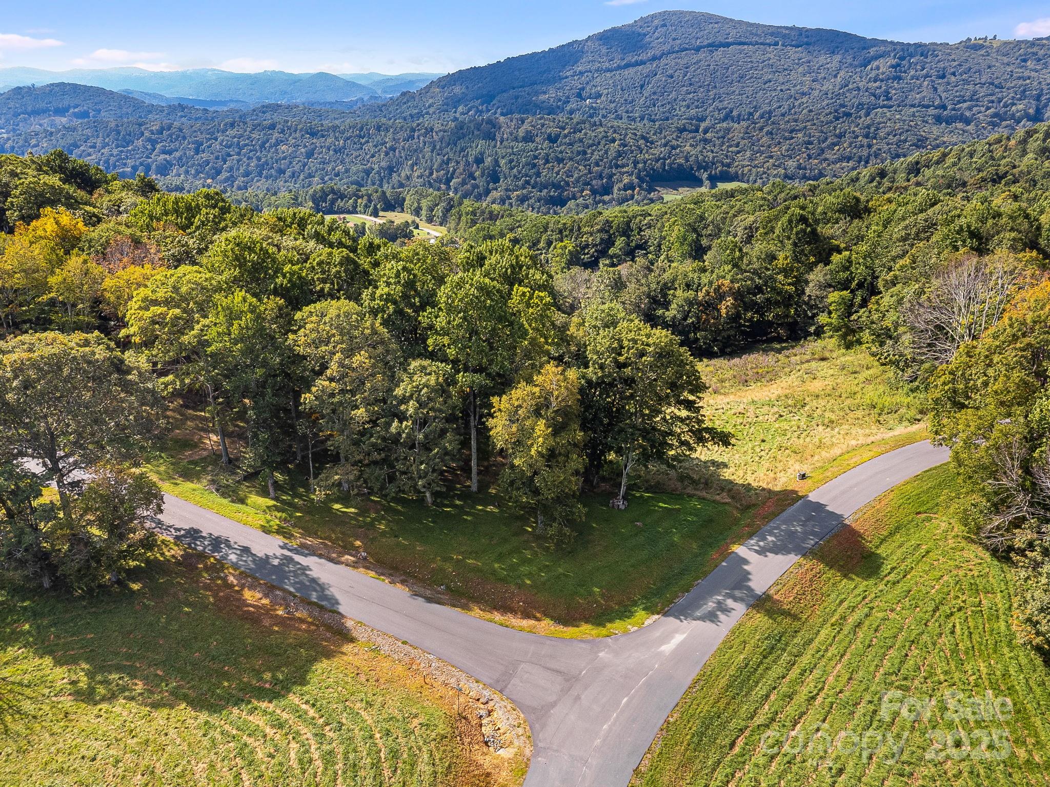Poplar Forest - Land