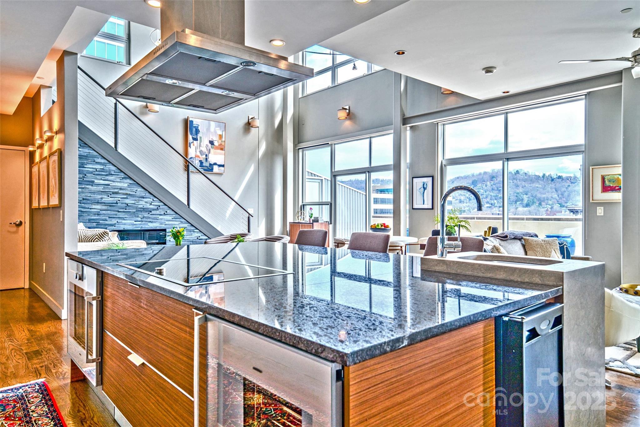 12 S. Lexington Condominiums - Residential