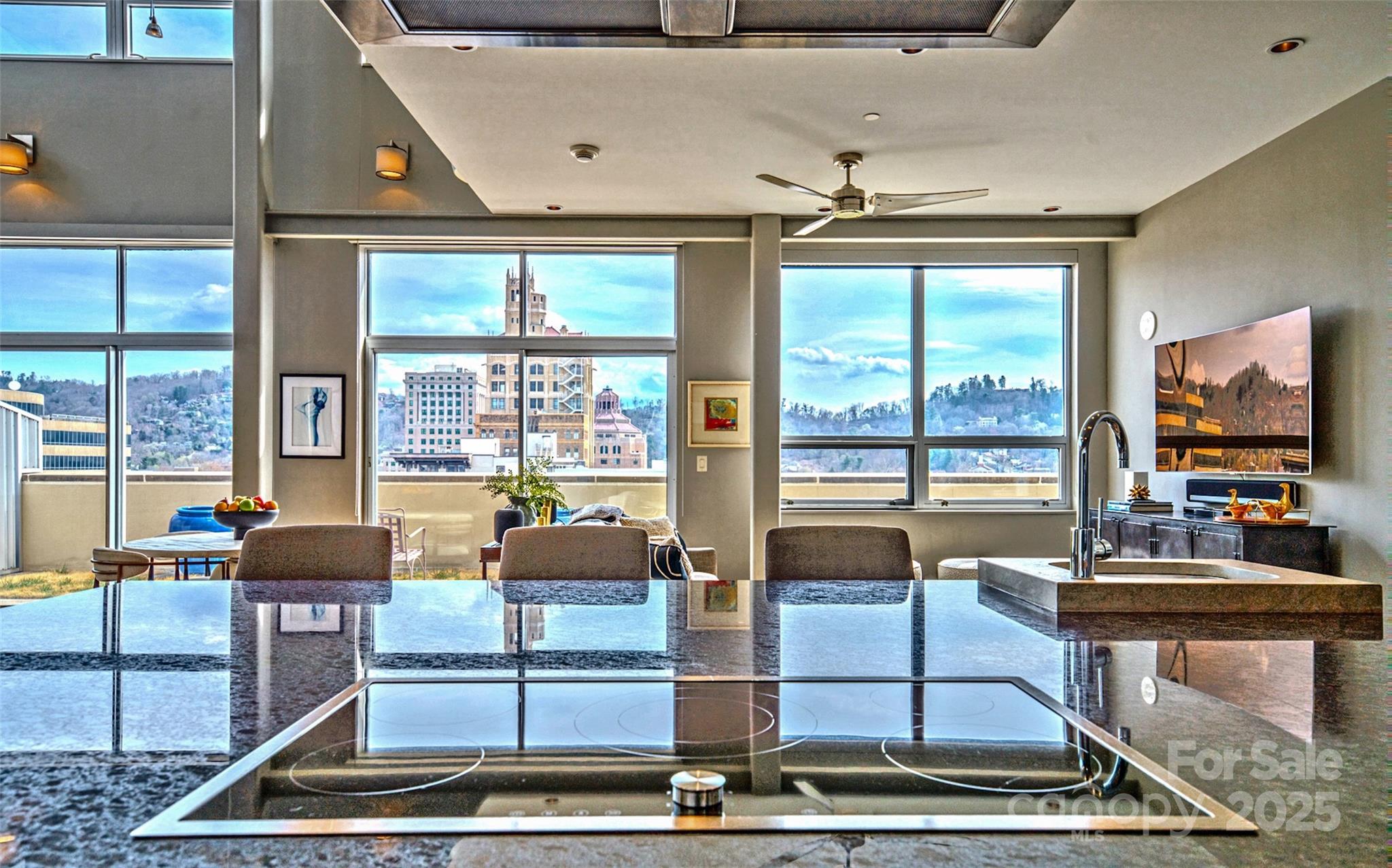 12 S. Lexington Condominiums - Residential