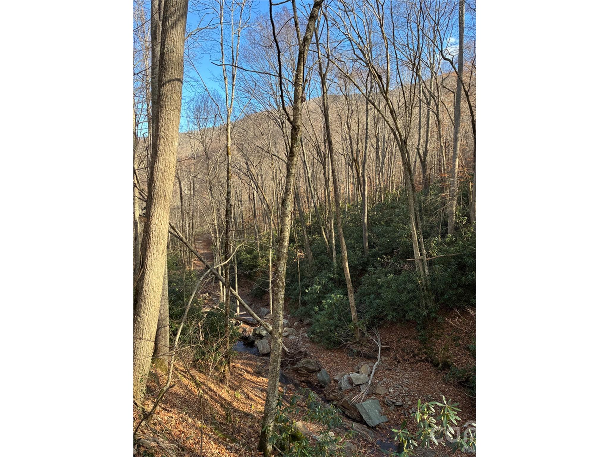 000 Ogles Gap Road