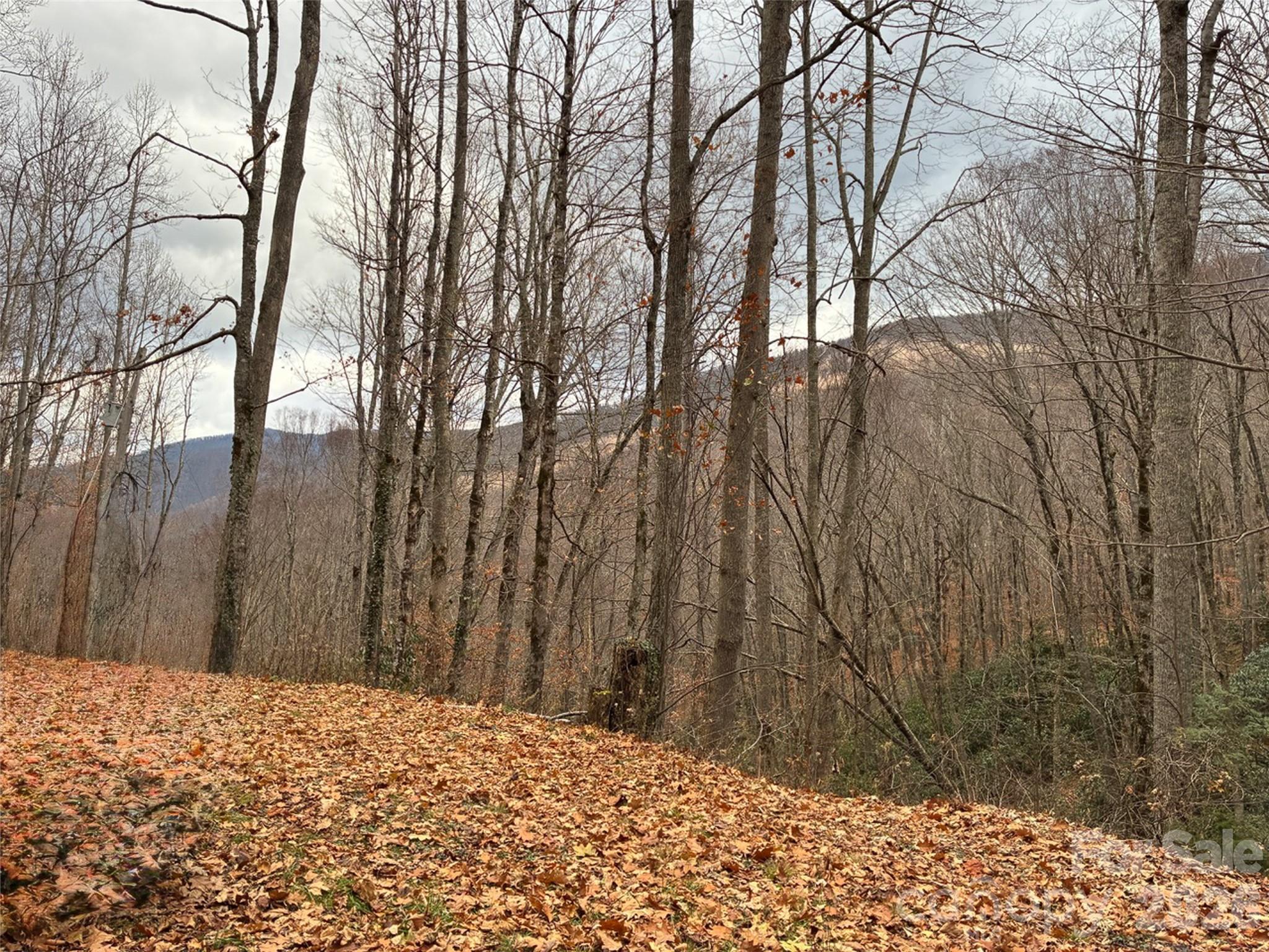 000 Ogles Gap Road